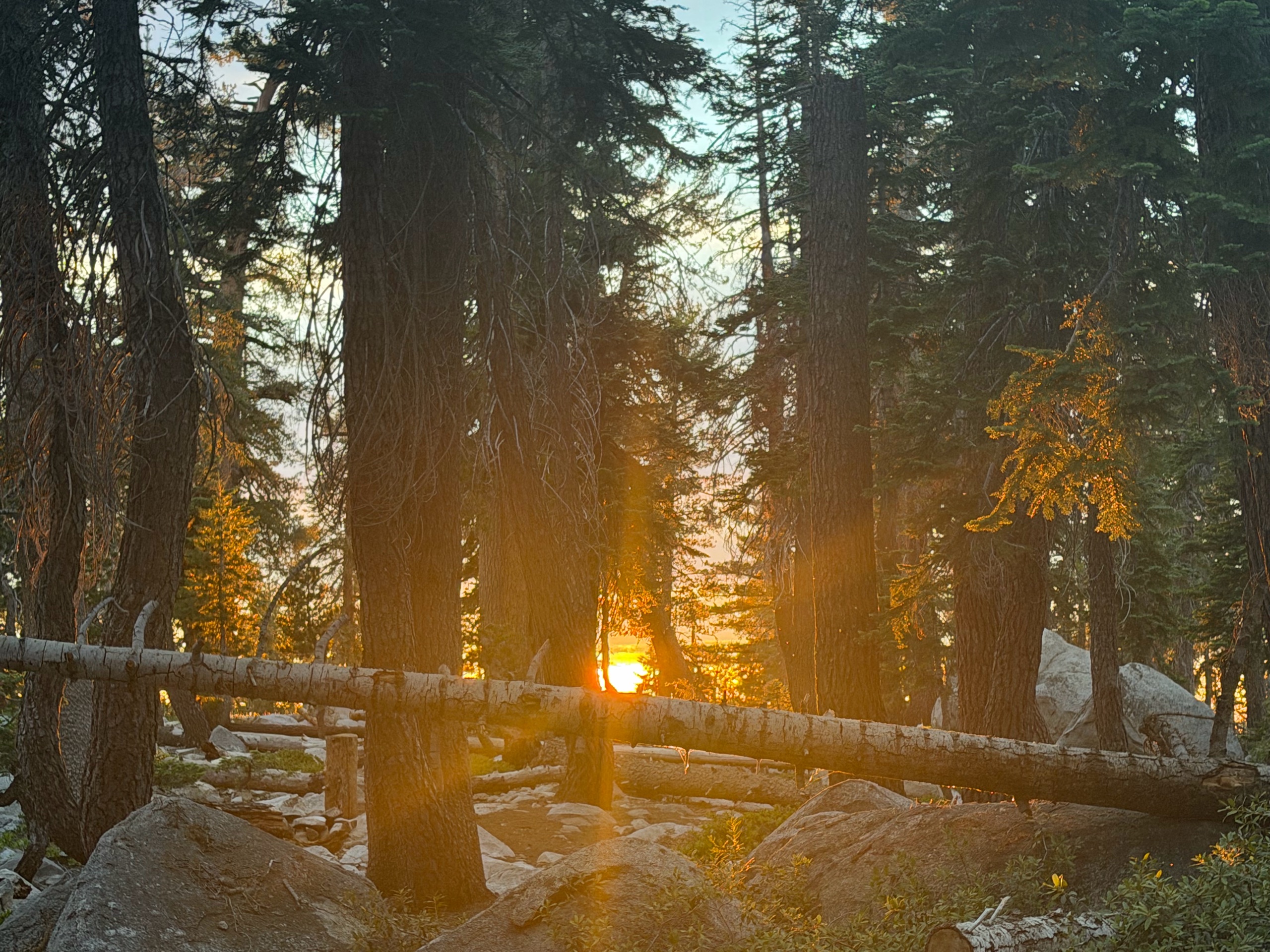 Sequoia Backpacking Trip photo