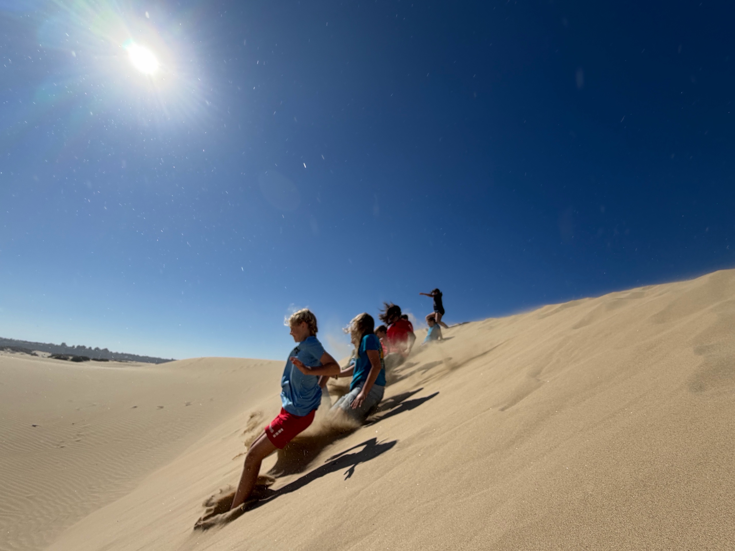 Zips and Dunes photo