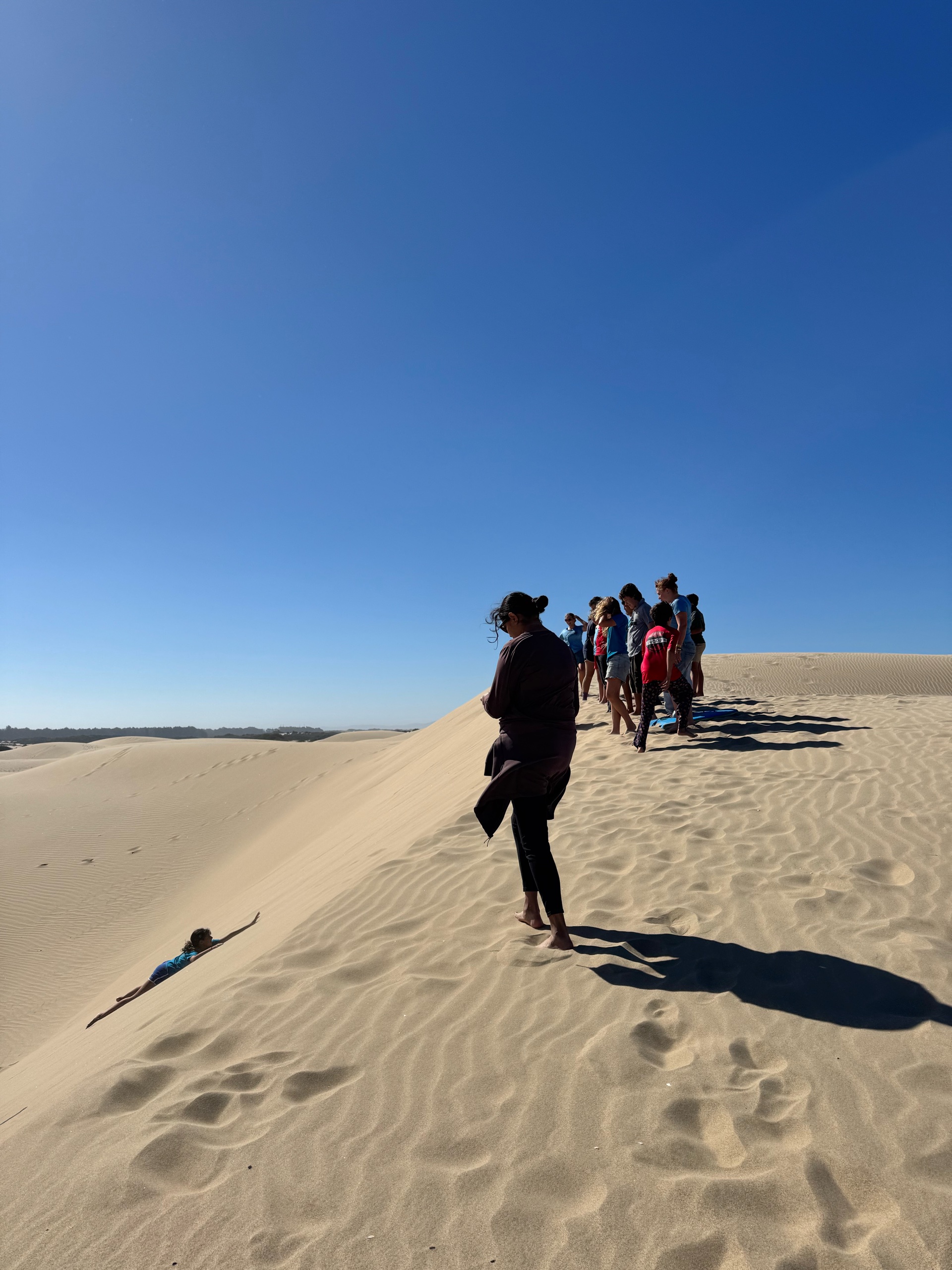 Zips and Dunes photo