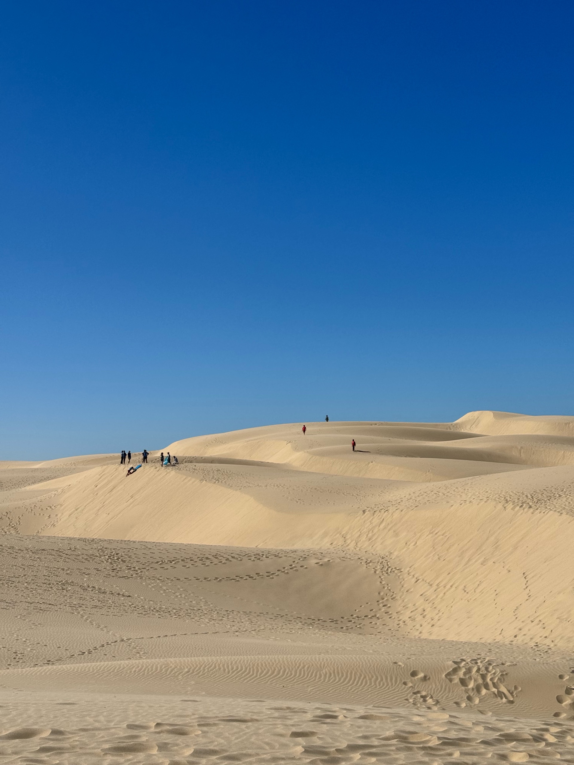 Zips and Dunes photo