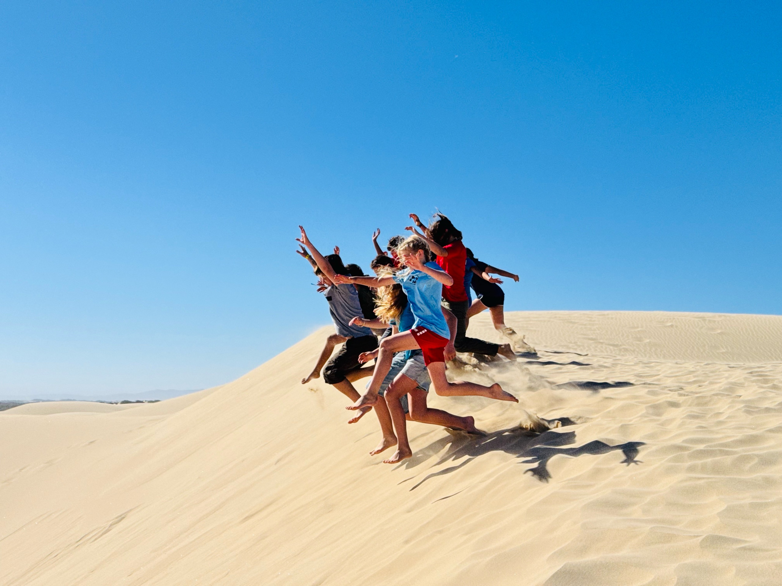 Zips and Dunes photo