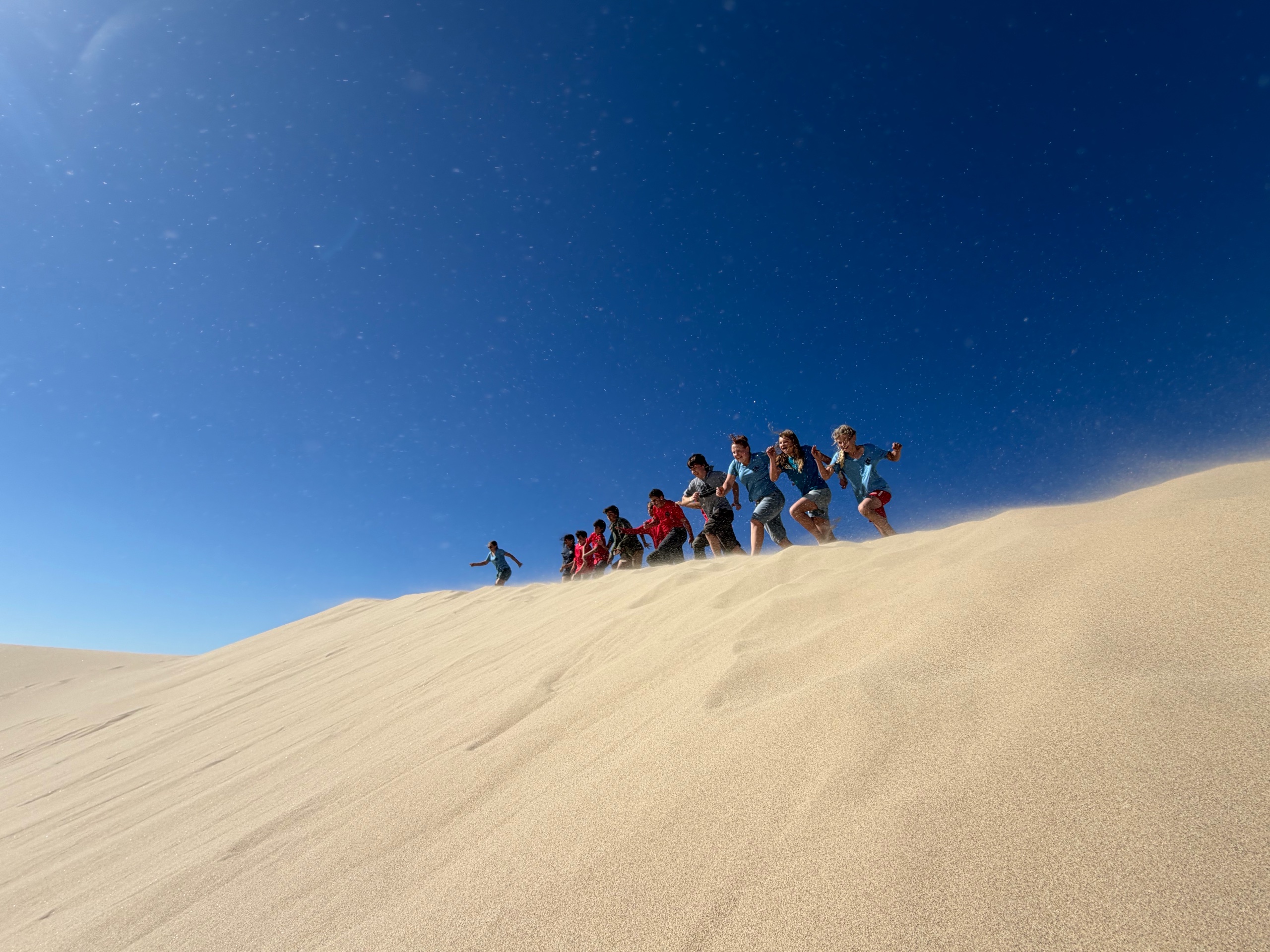 Zips and Dunes photo