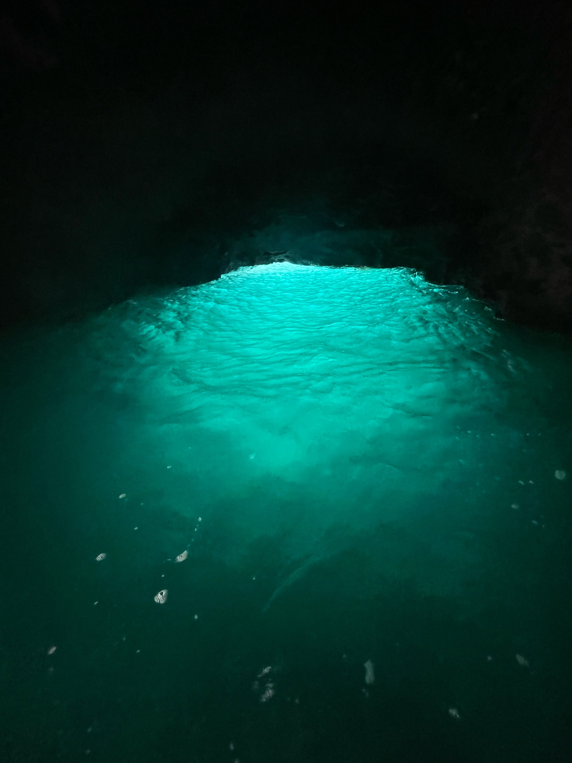 Anacapa Kayaking photo