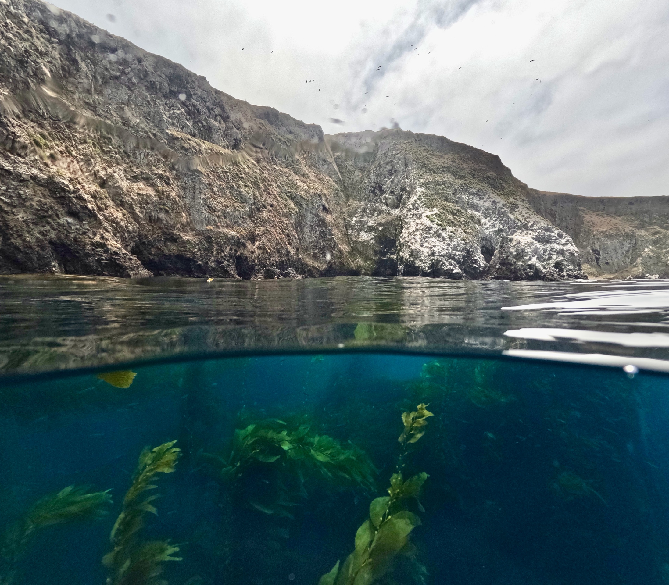 Anacapa Kayaking photo