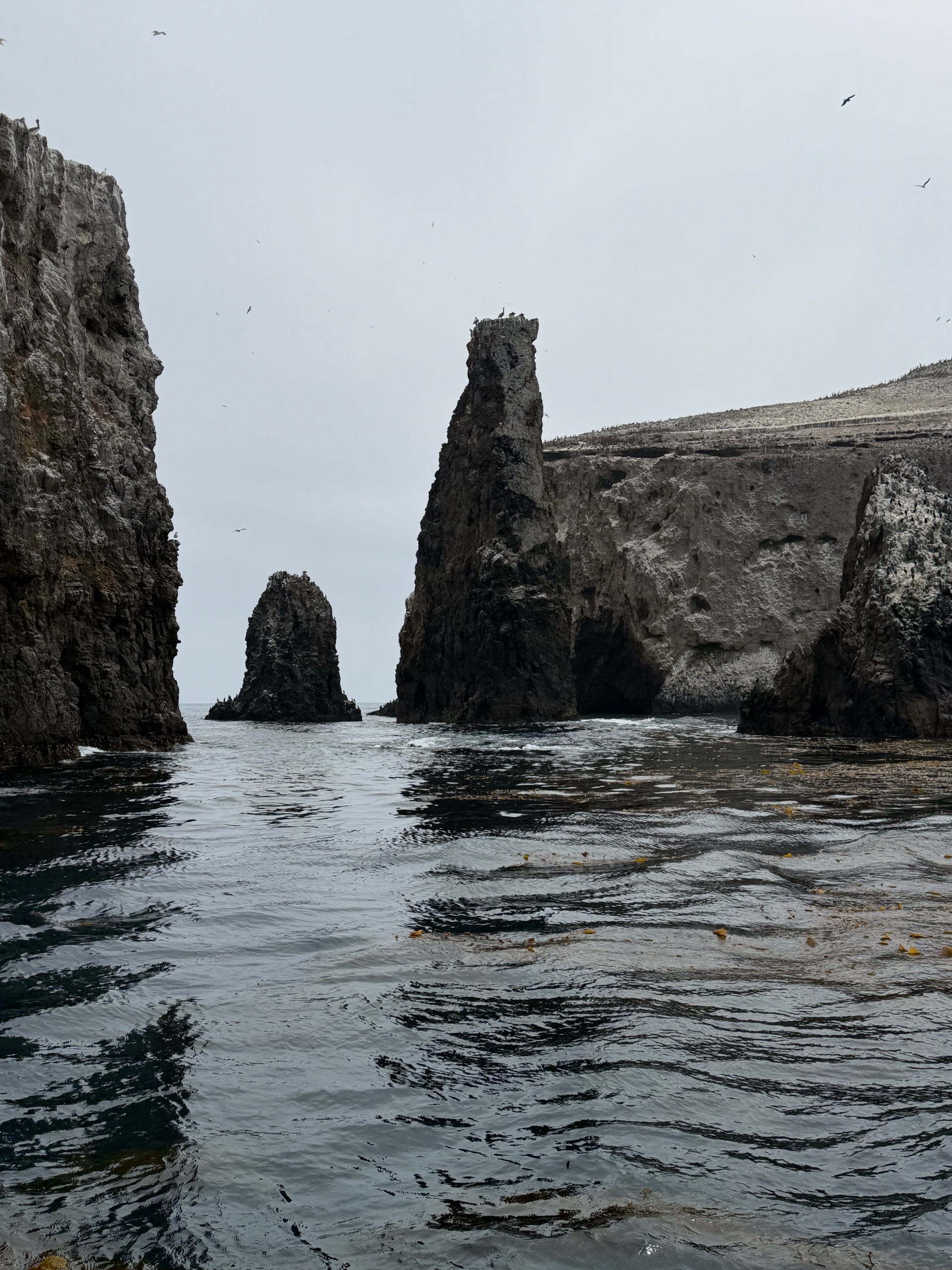 Anacapa Kayaking photo