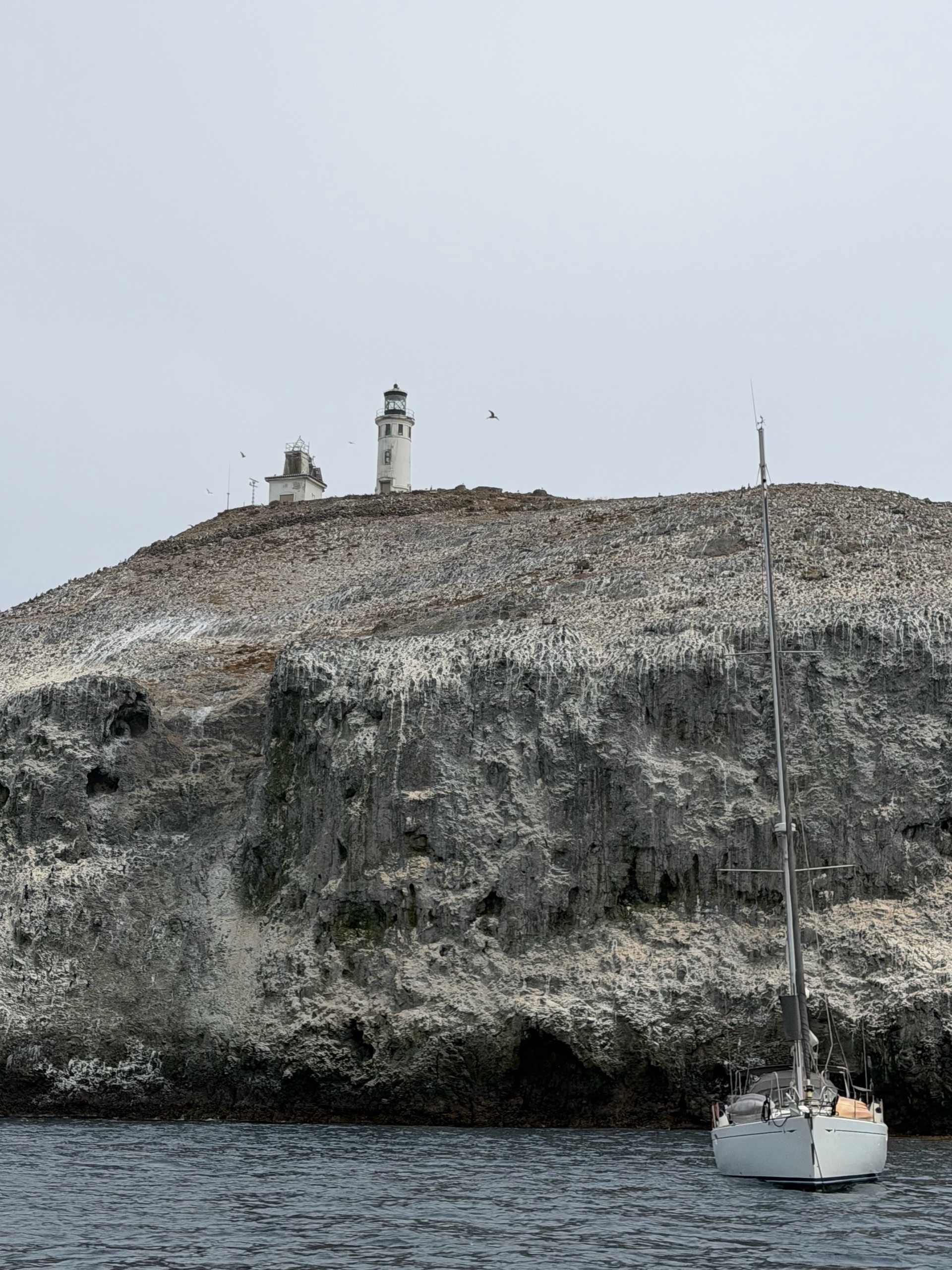 Anacapa Kayaking photo