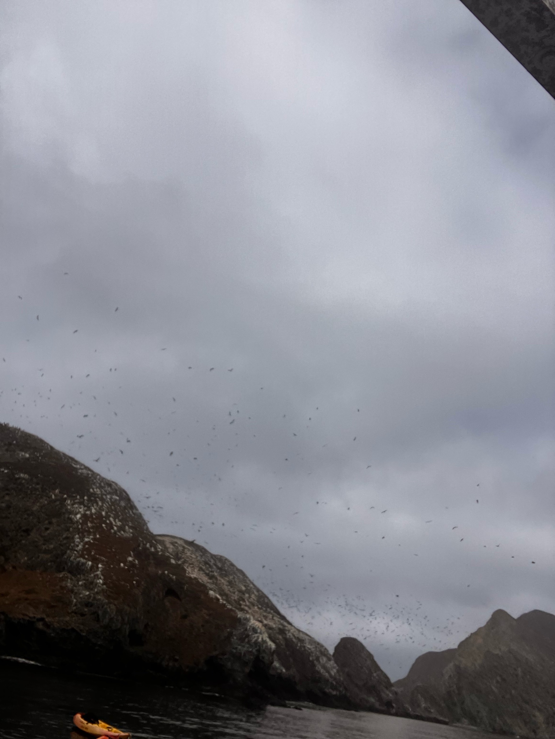 Anacapa Kayaking photo