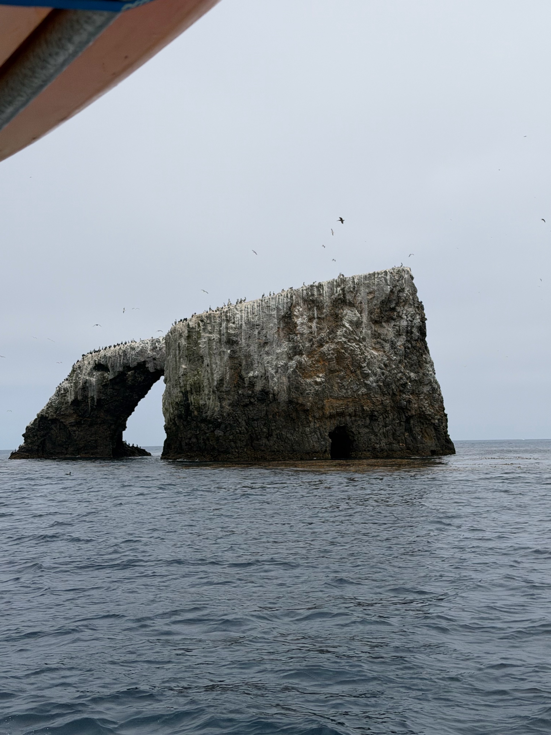 Anacapa Kayaking photo