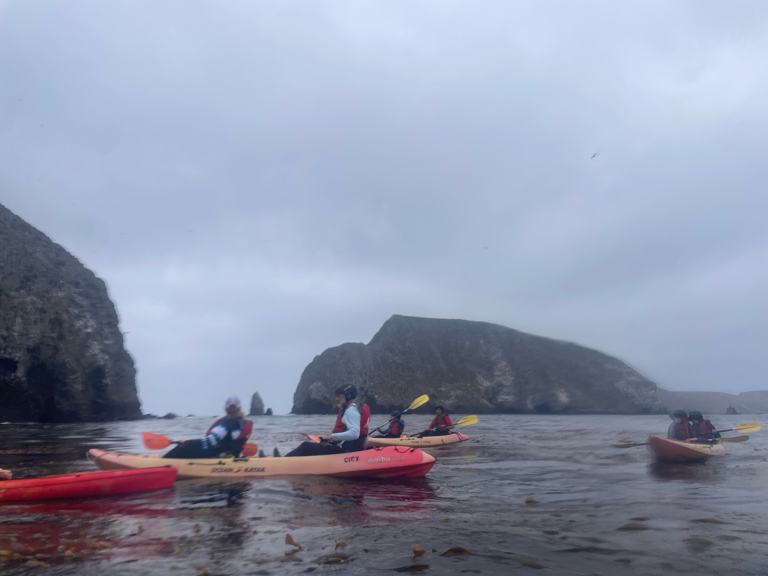 Anacapa Kayaking photo