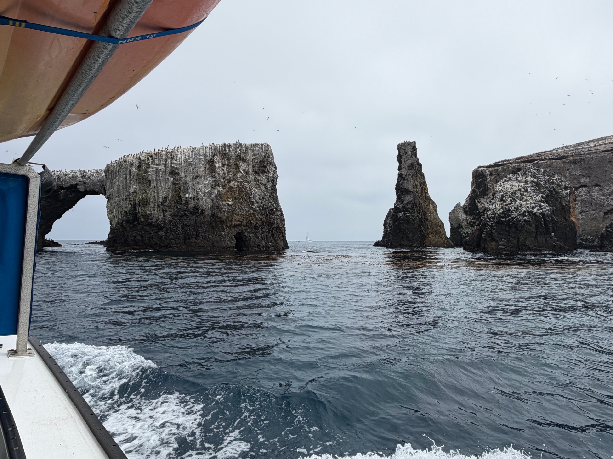 Anacapa Kayaking photo