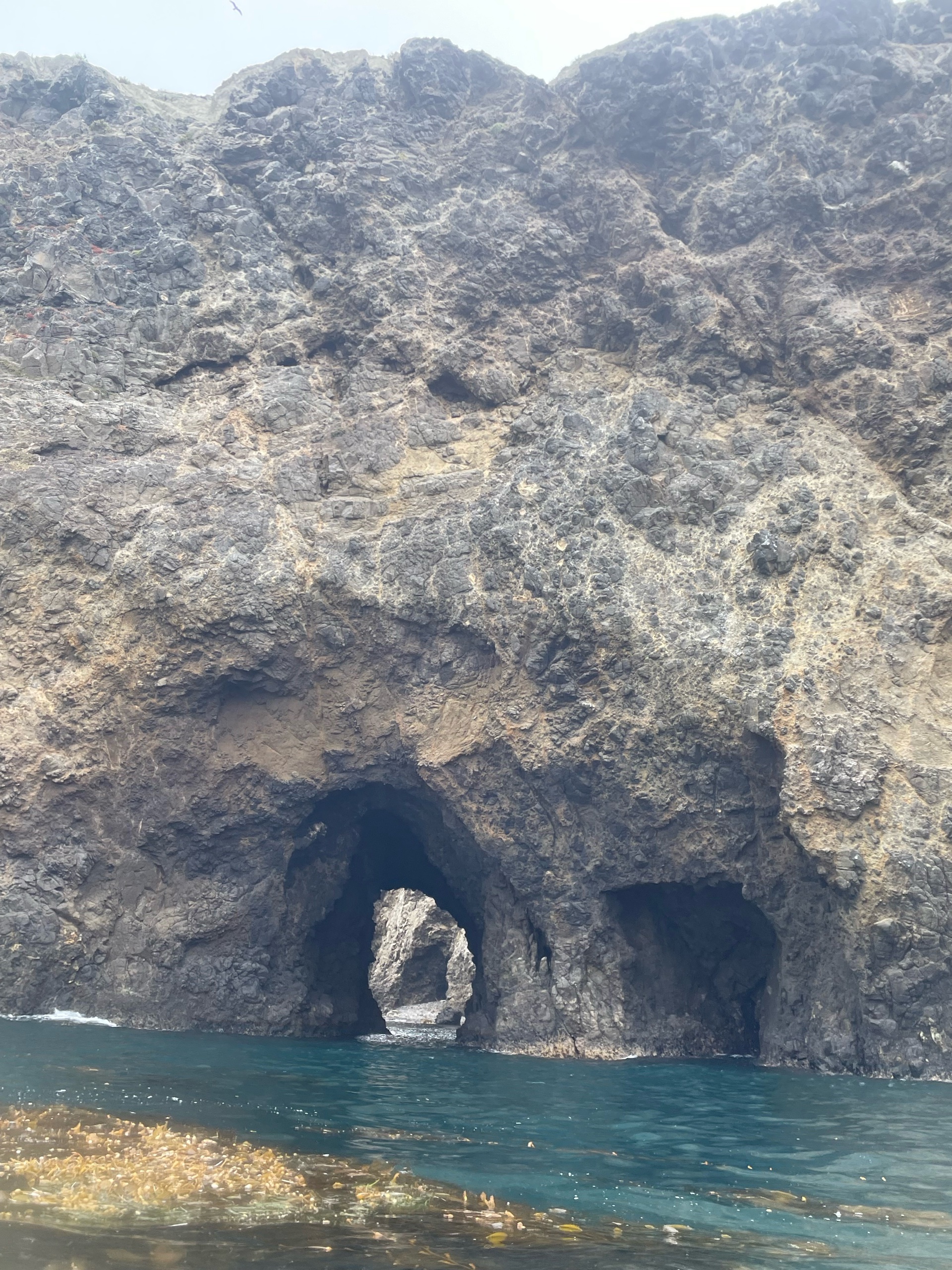 Anacapa Kayaking photo