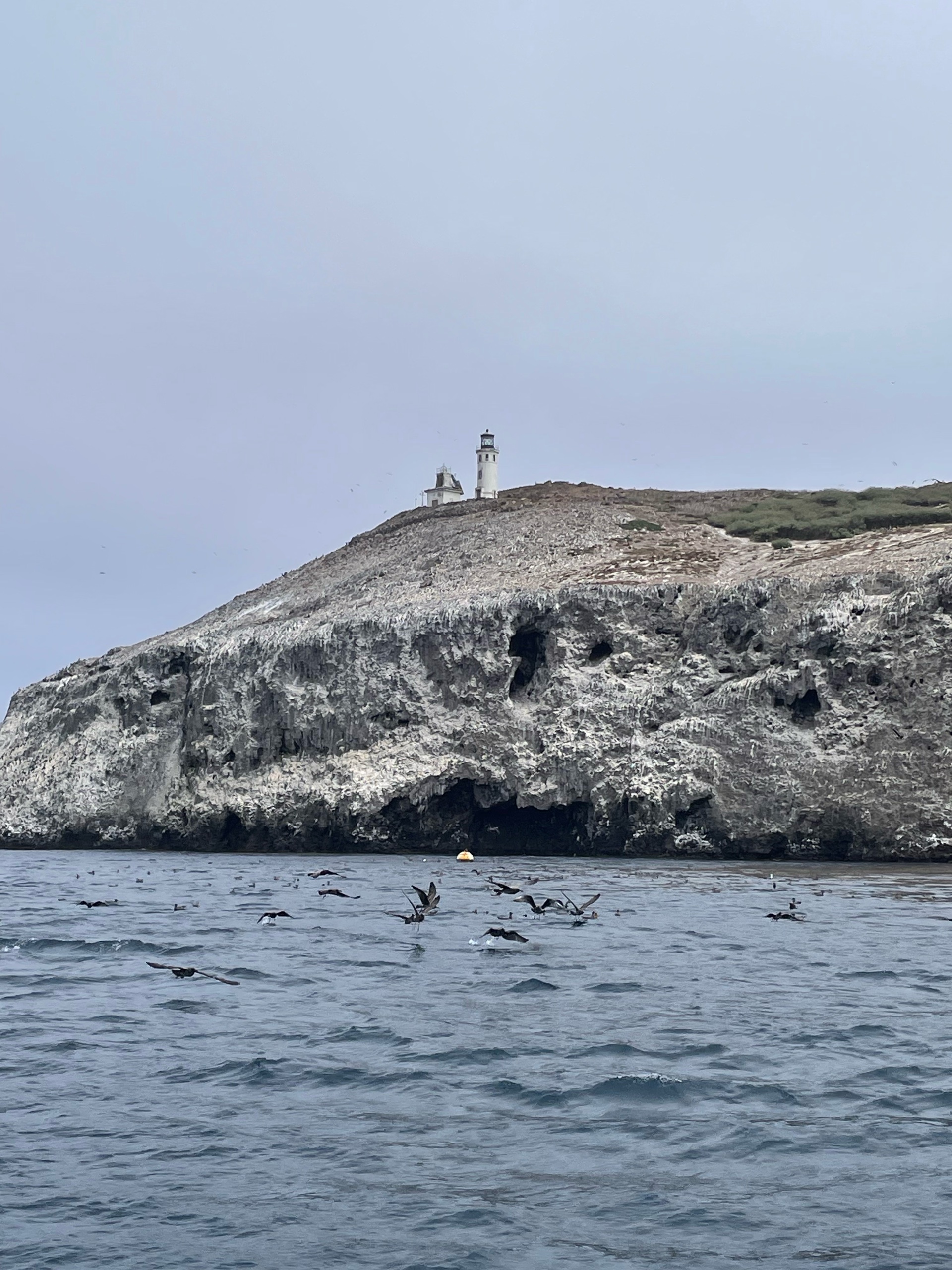 Anacapa Kayaking photo