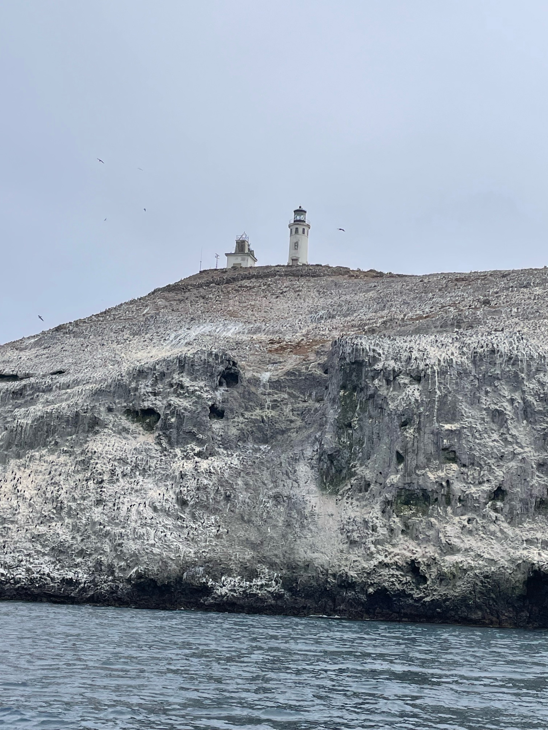 Anacapa Kayaking photo