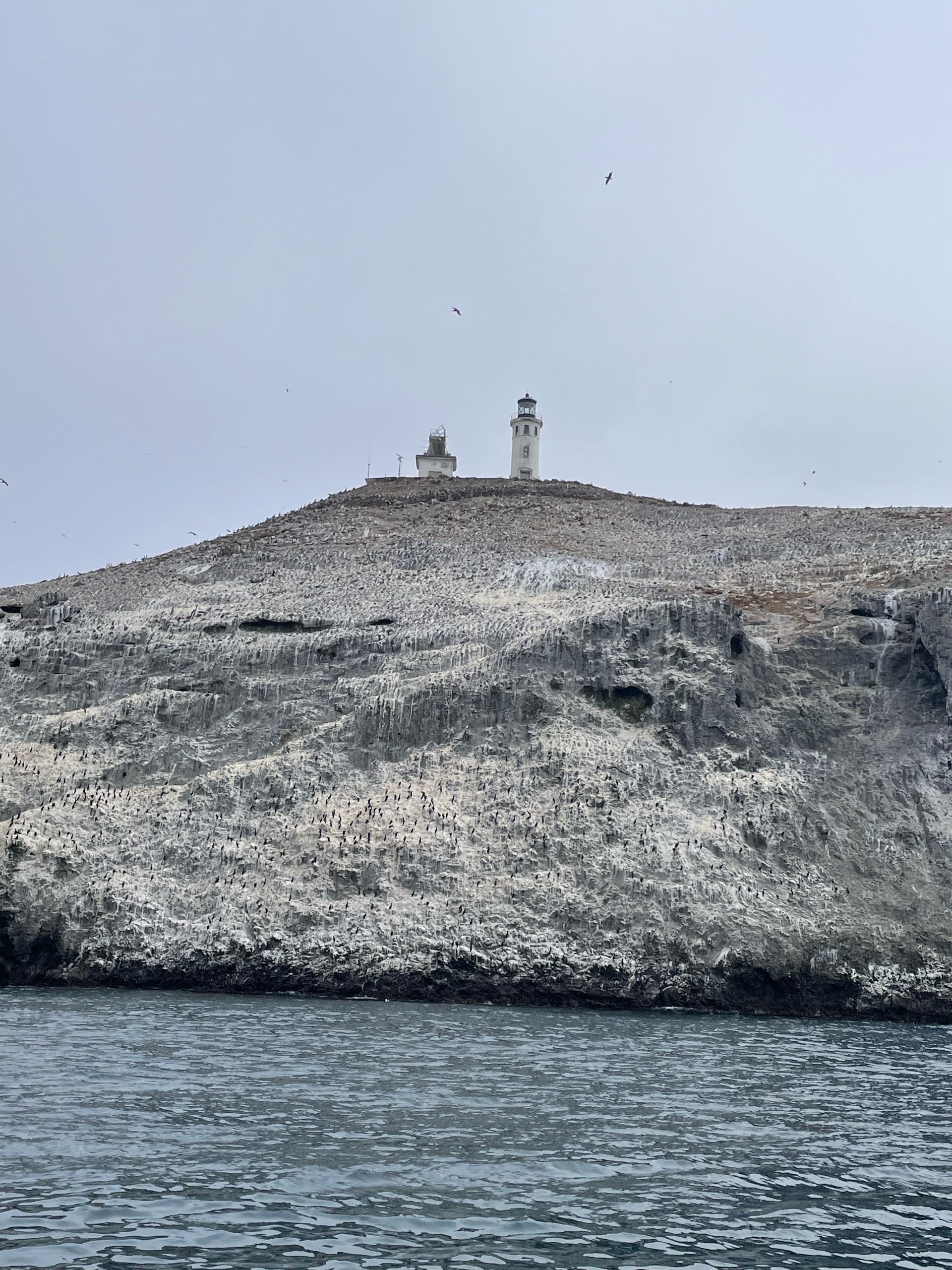 Anacapa Kayaking photo