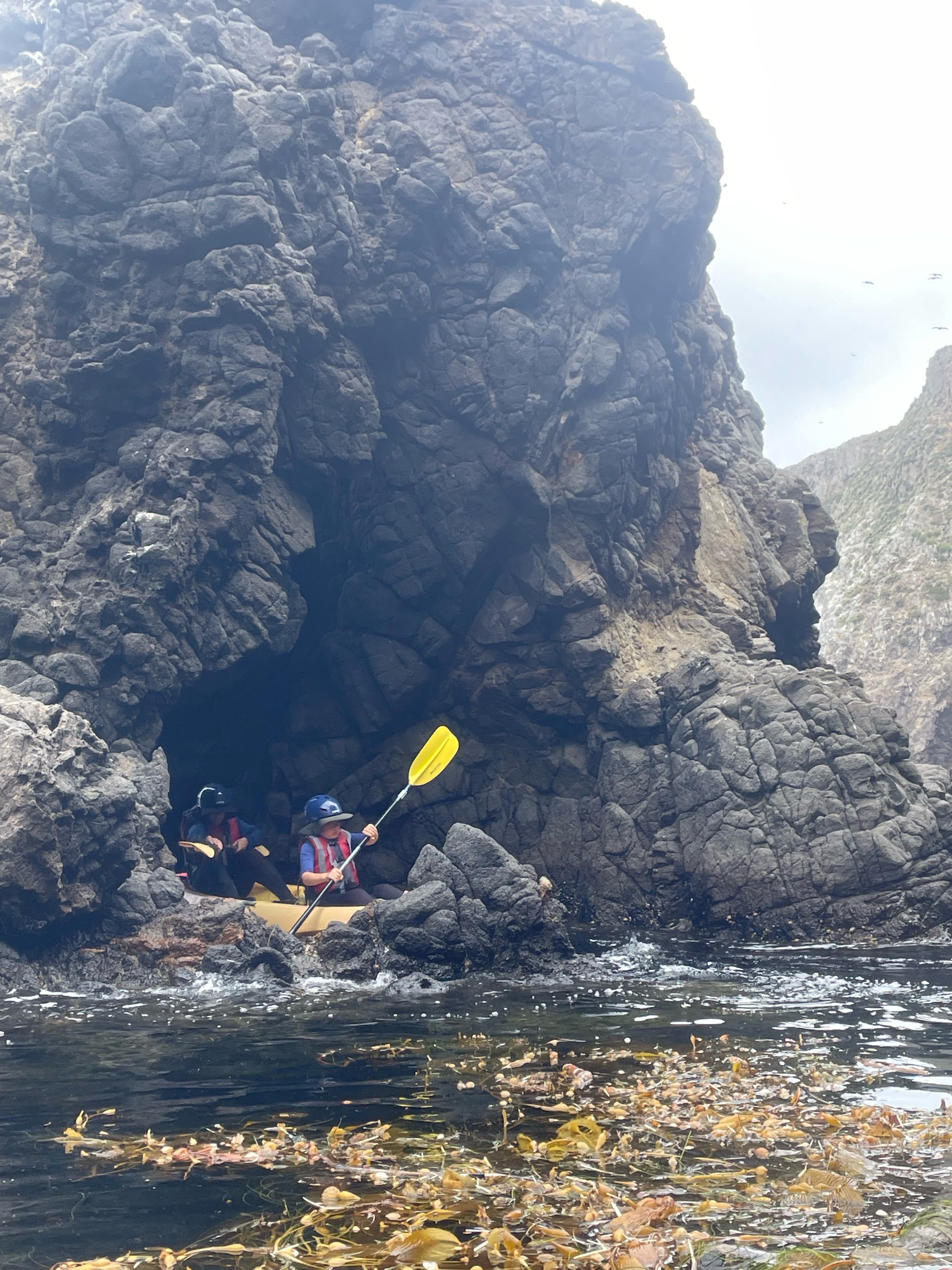Anacapa Kayaking photo