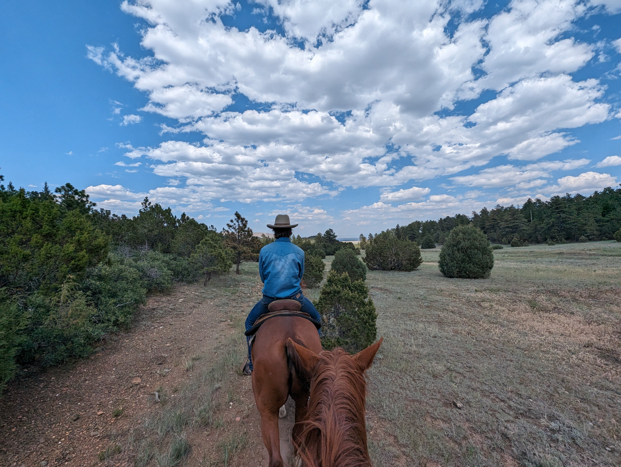 2024 High Adventure: Philmont Scout Ranch photo