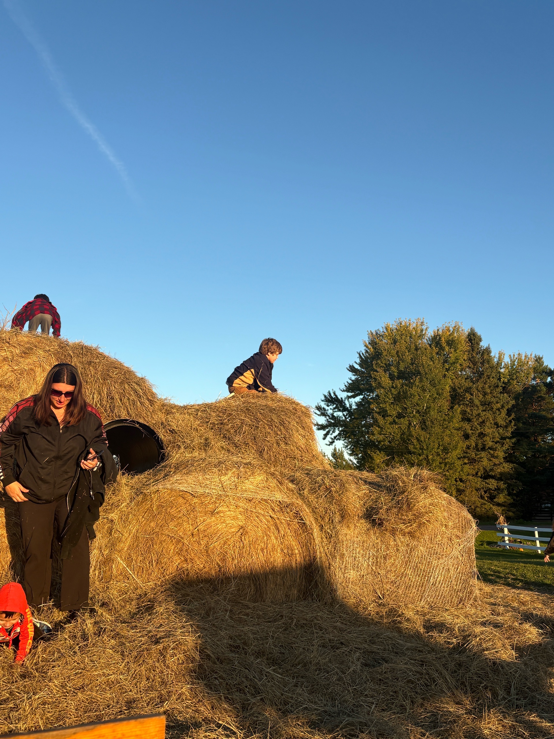 Grampas Farm Pack Visit - Merrill photo