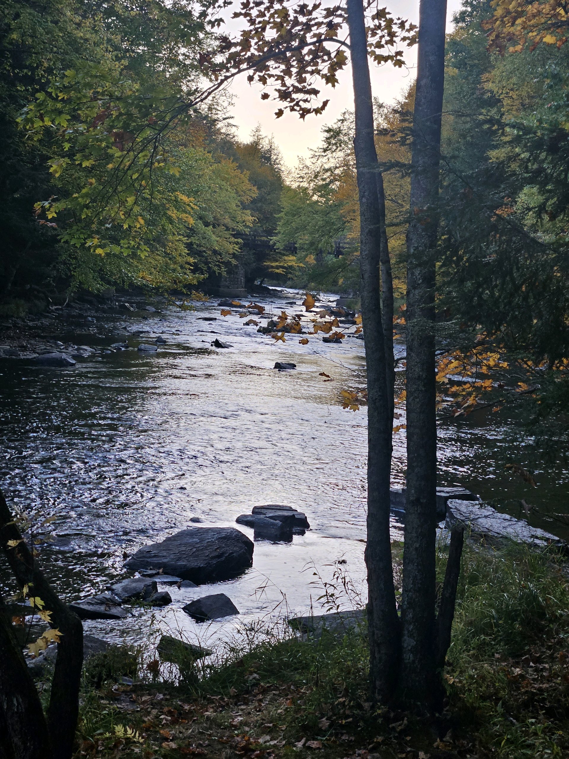 Wolf/Bear Den Hike photo