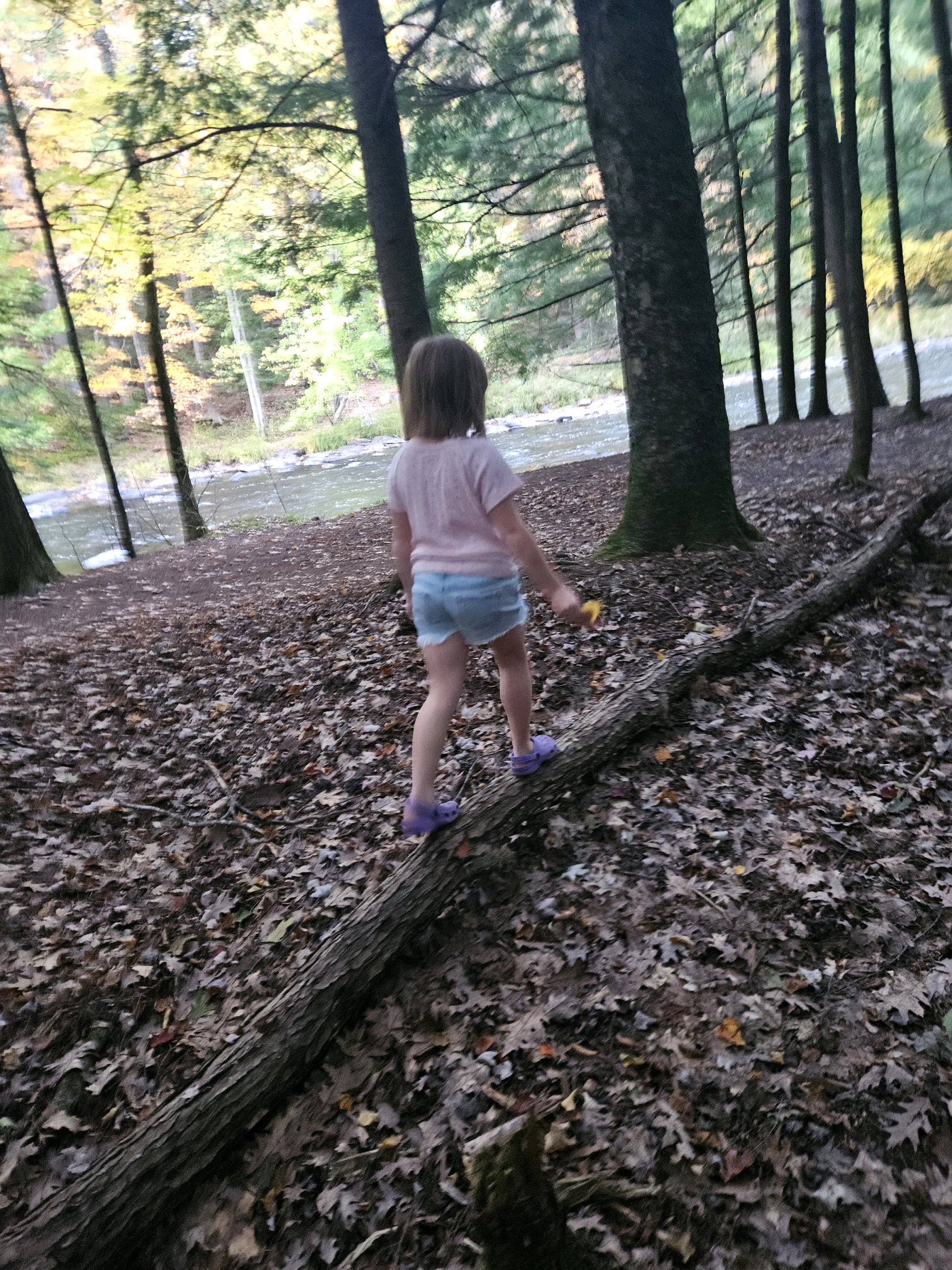 Wolf/Bear Den Hike photo