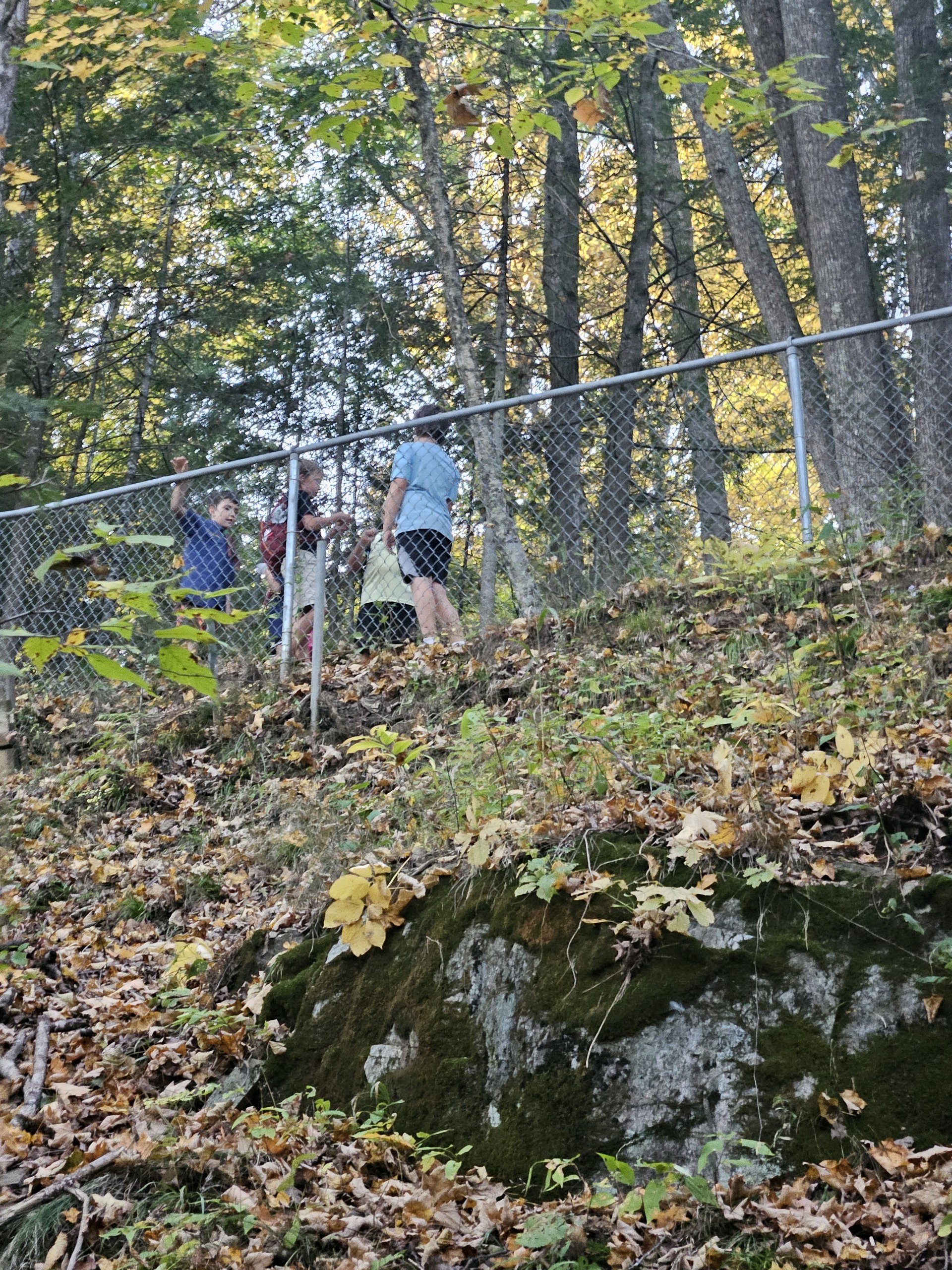 Wolf/Bear Den Hike photo