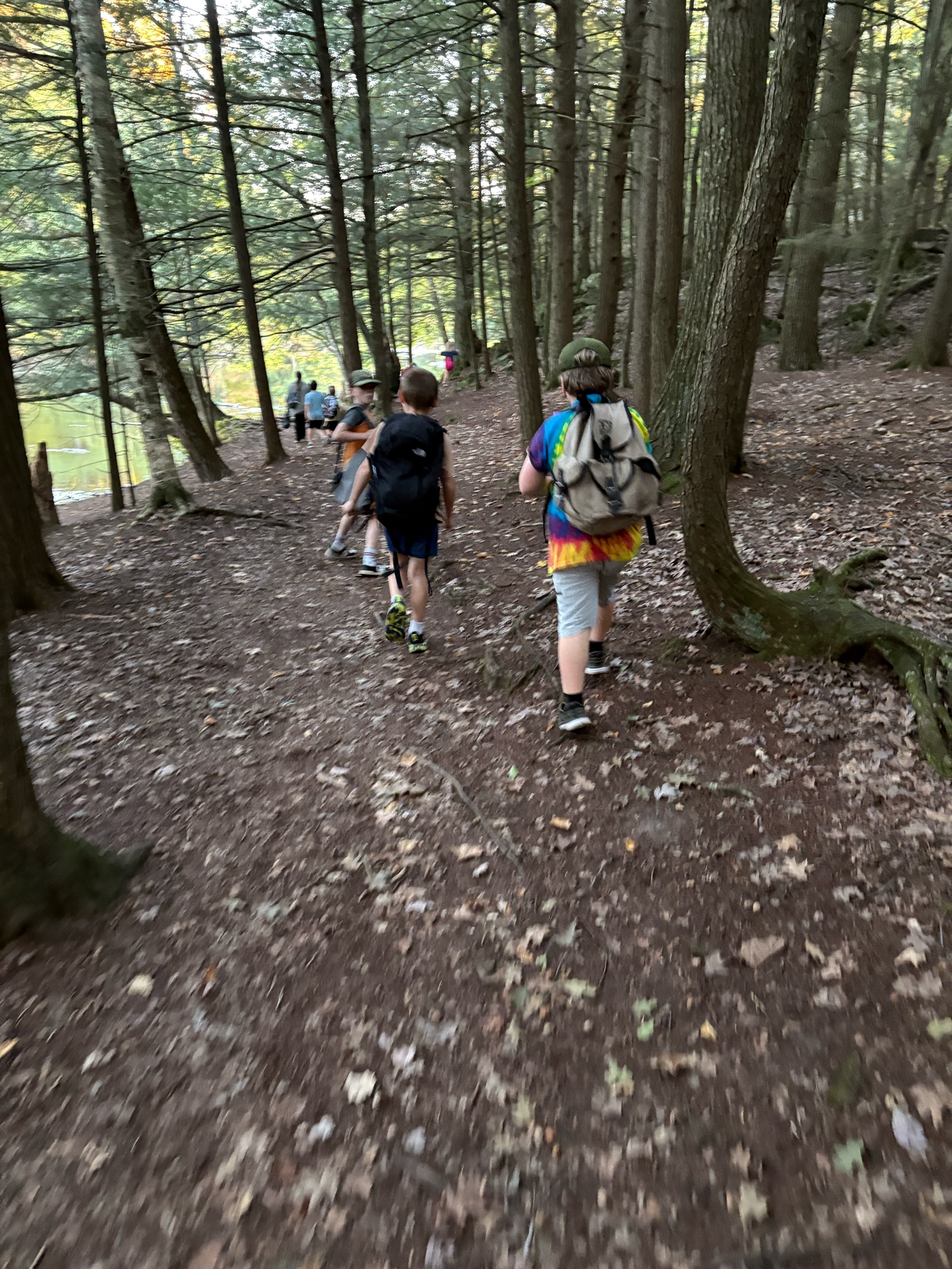 Wolf/Bear Den Hike photo