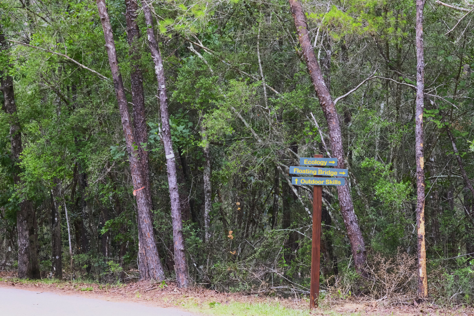 Summer Camp 26 photo