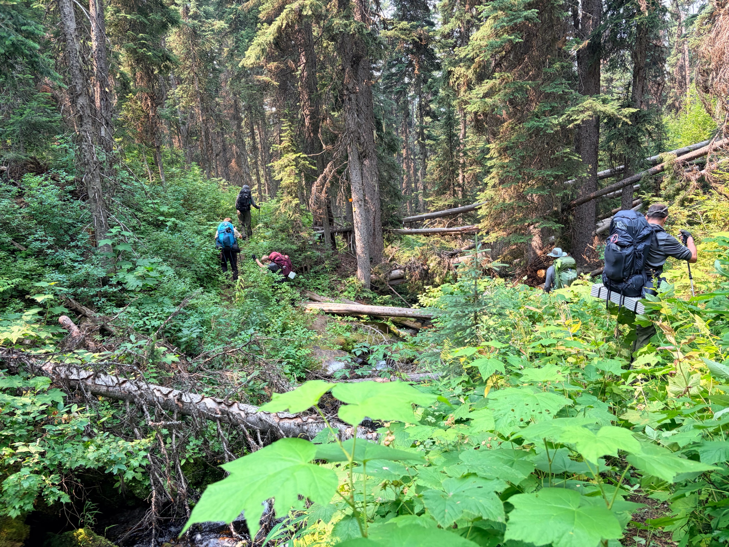 Glacier Backpacking	HA-Group2 photo