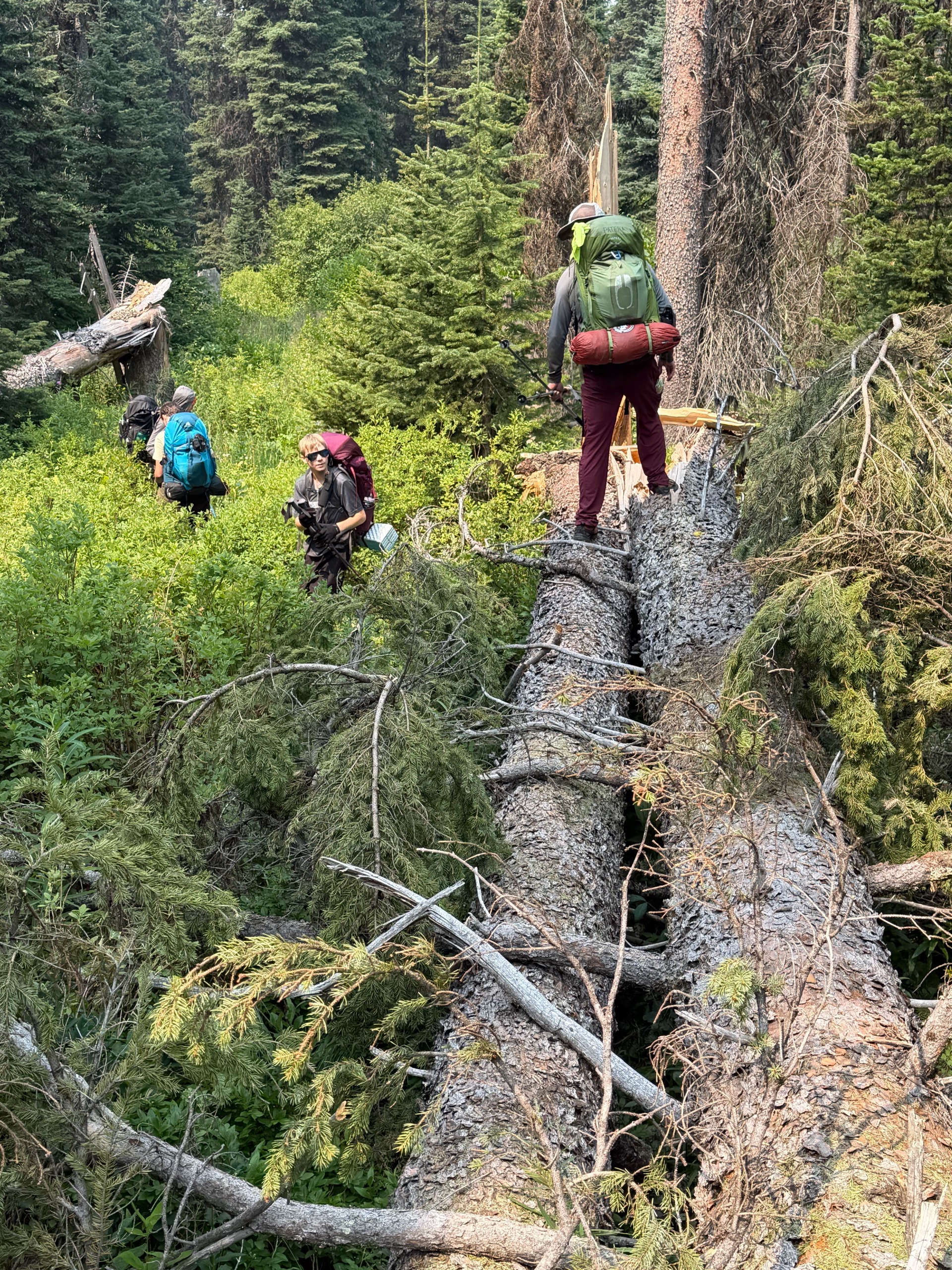 Glacier Backpacking	HA-Group2 photo