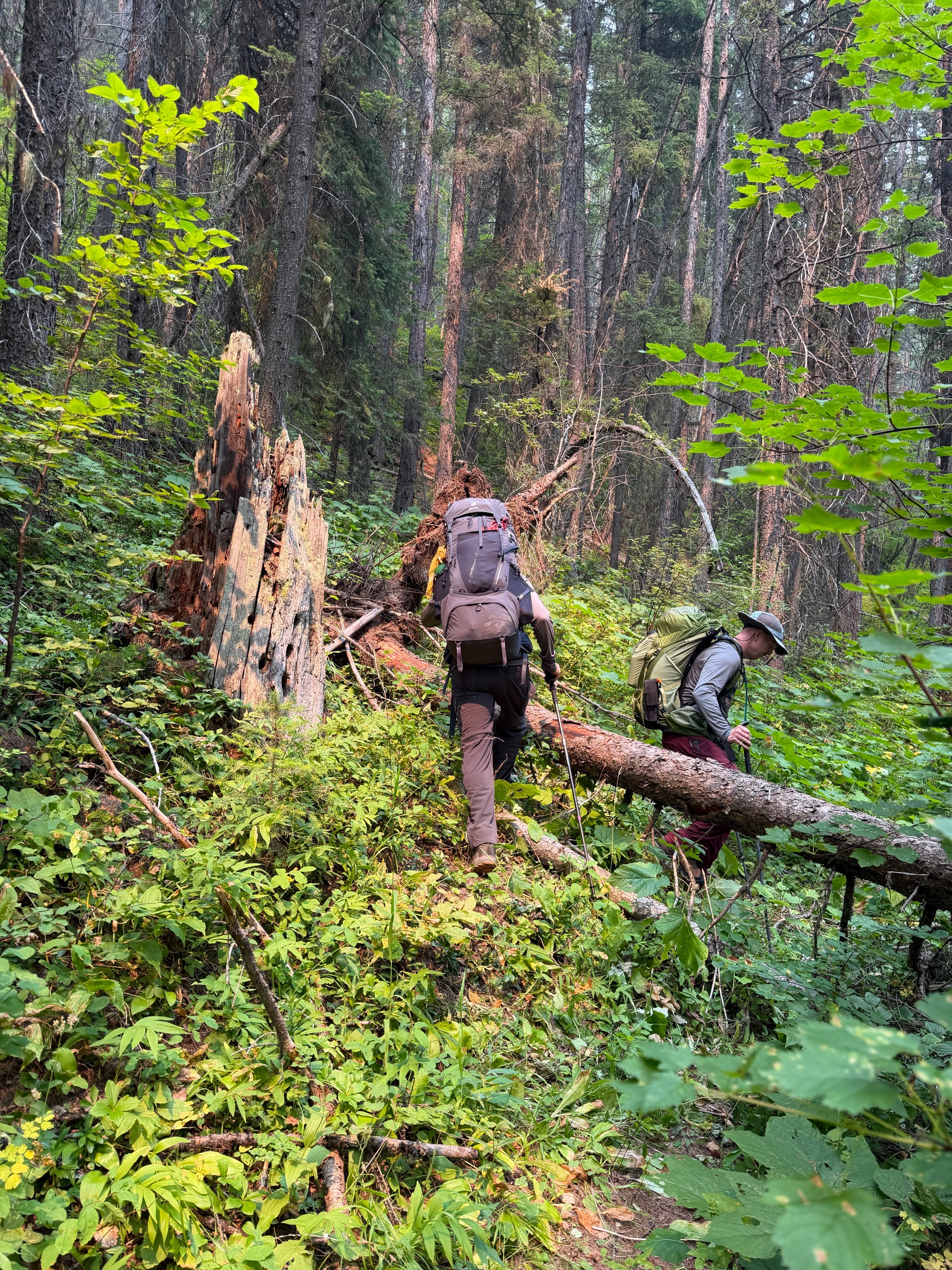 Glacier Backpacking	HA-Group2 photo
