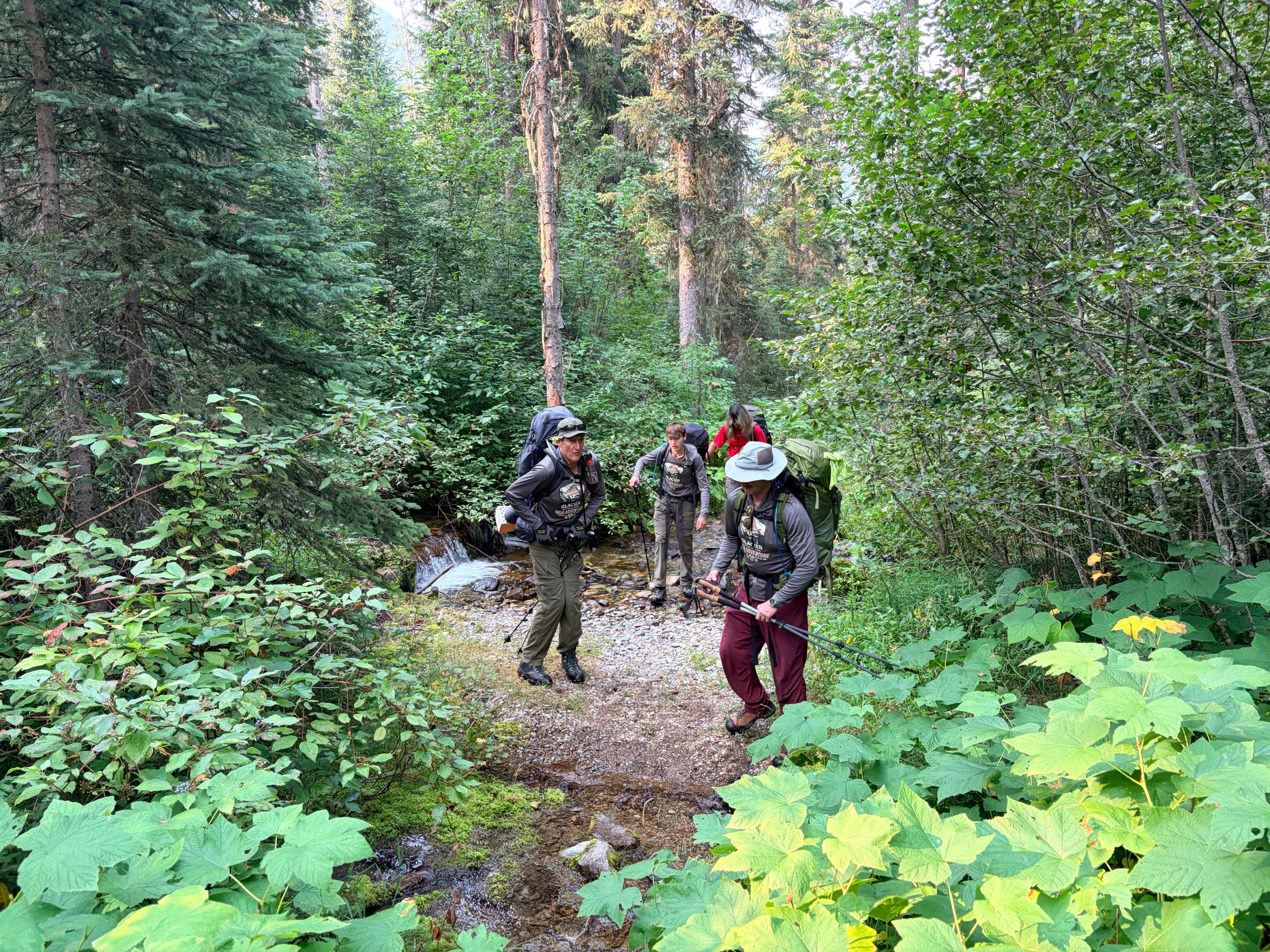 Glacier Backpacking	HA-Group2 photo