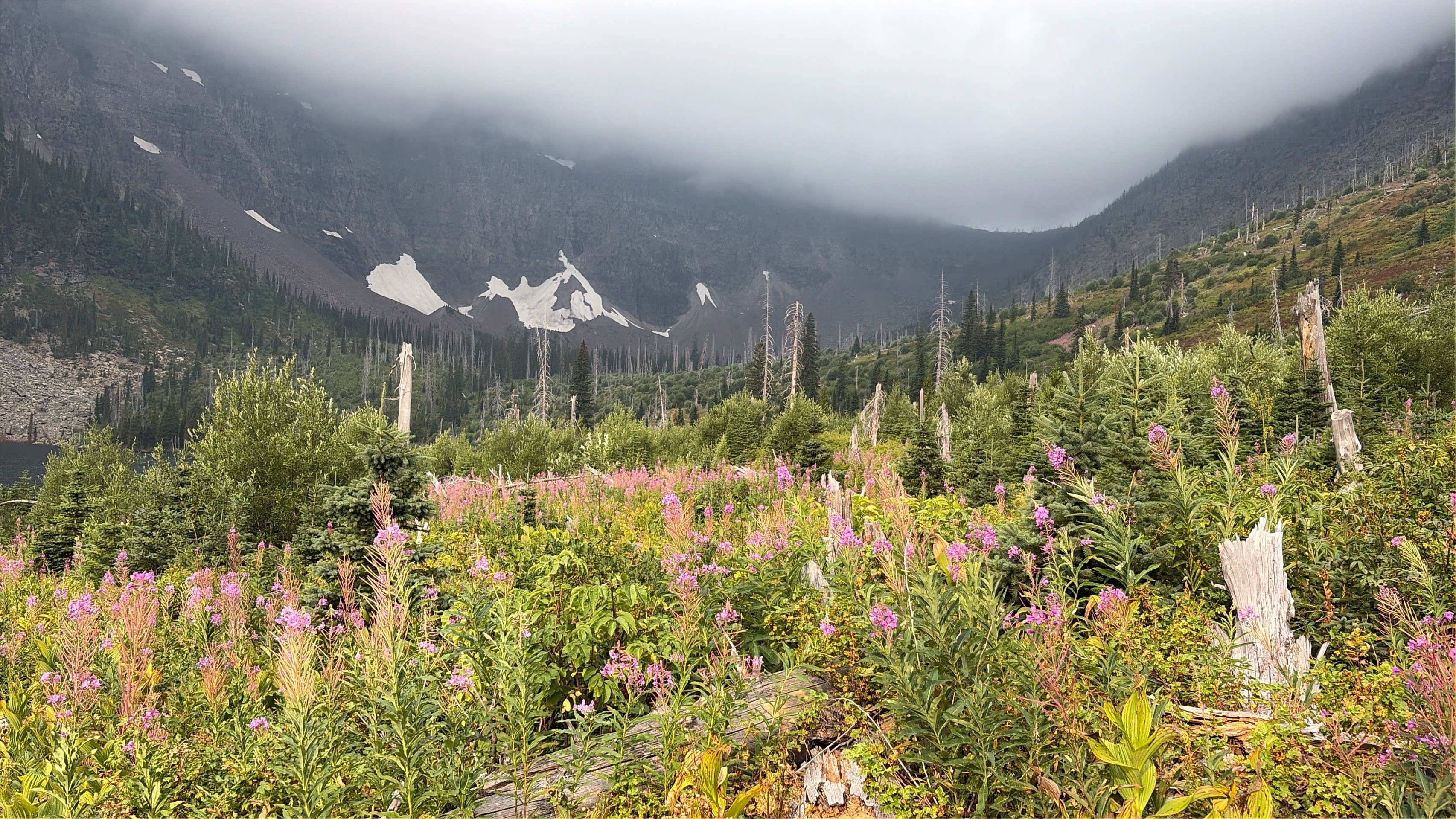 Glacier Backpacking	HA-Group2 photo