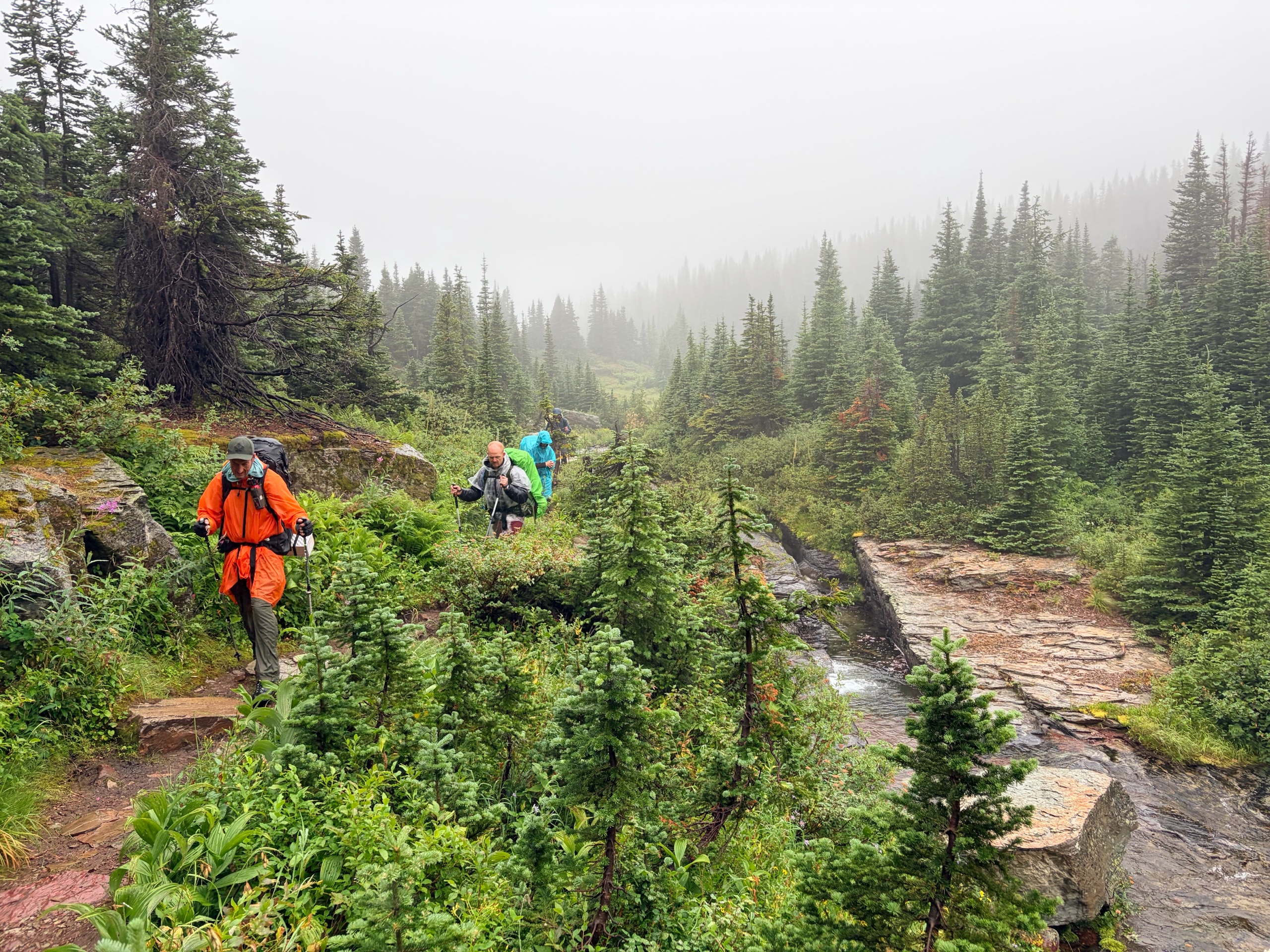 Glacier Backpacking	HA-Group2 photo