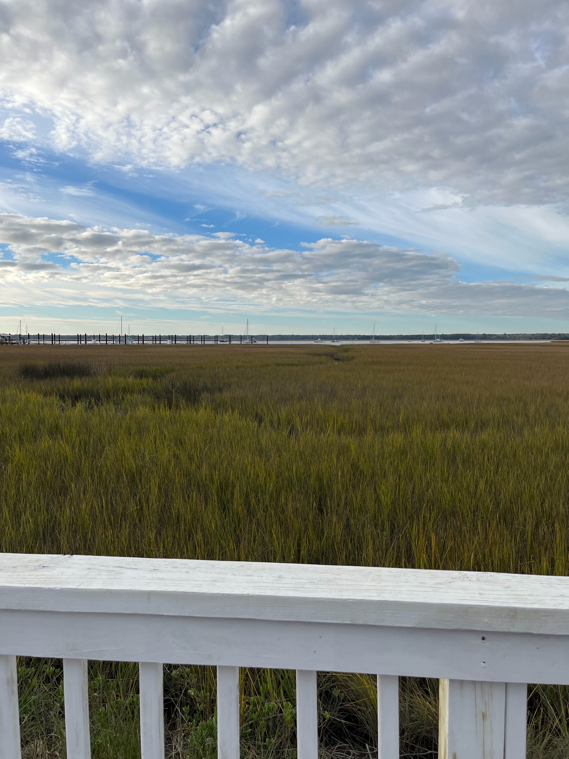 Epic Cumberland Island Adventure! photo