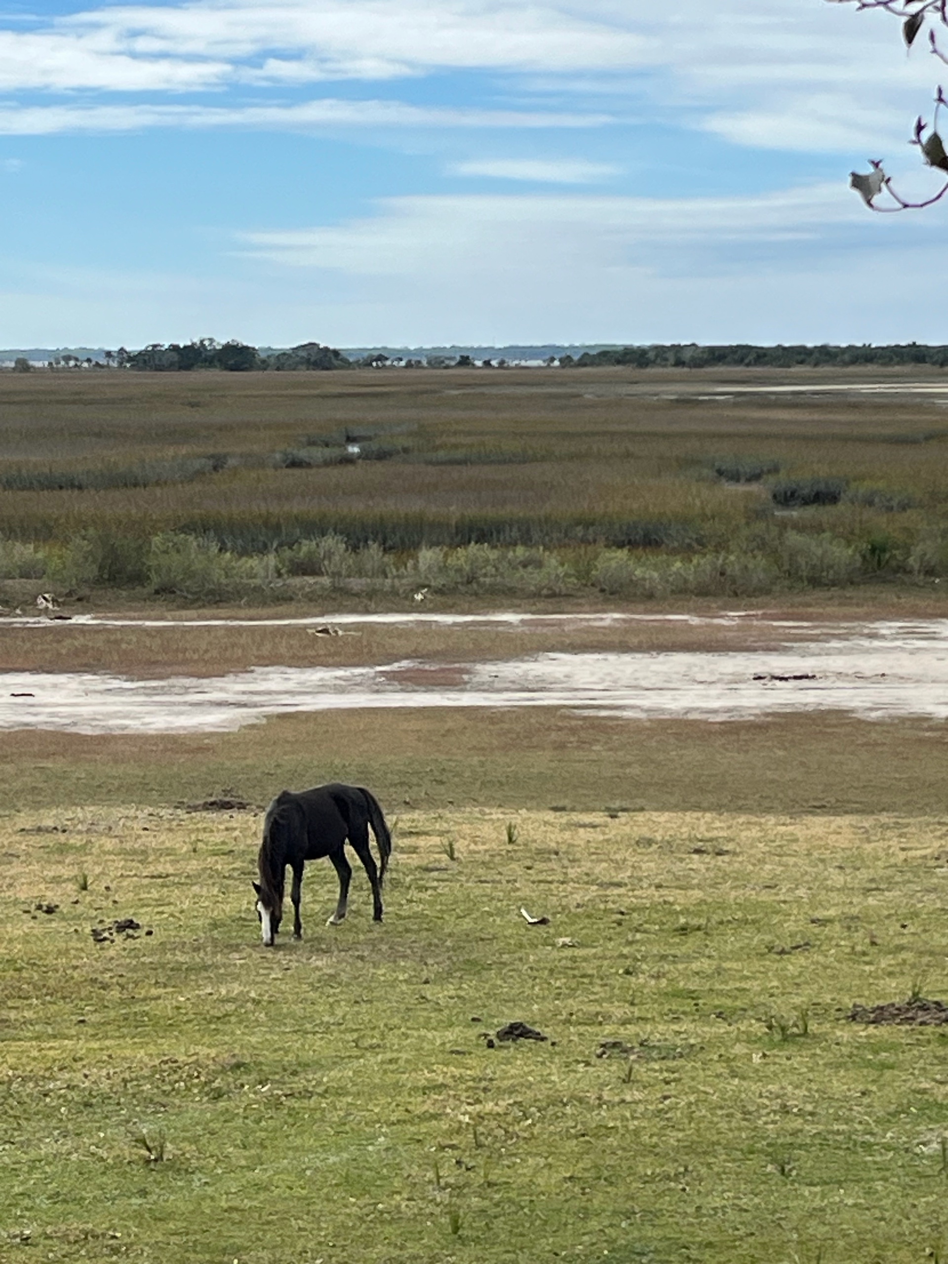 Epic Cumberland Island Adventure! photo