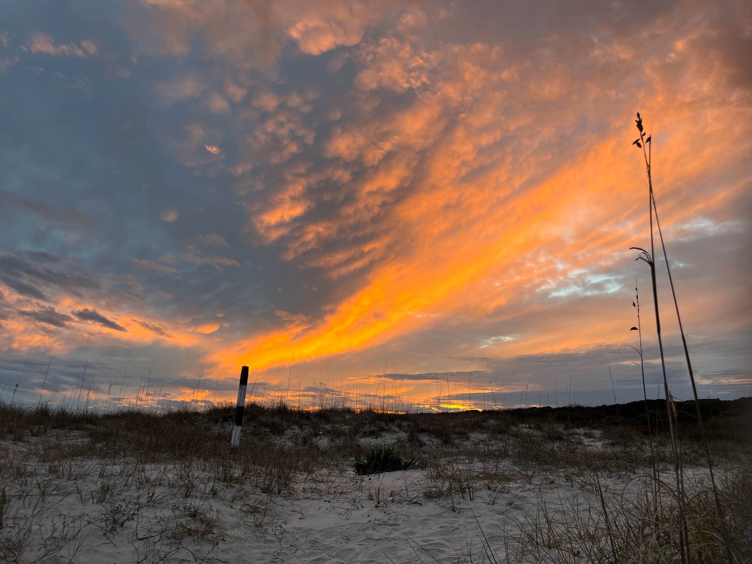 Epic Cumberland Island Adventure! photo