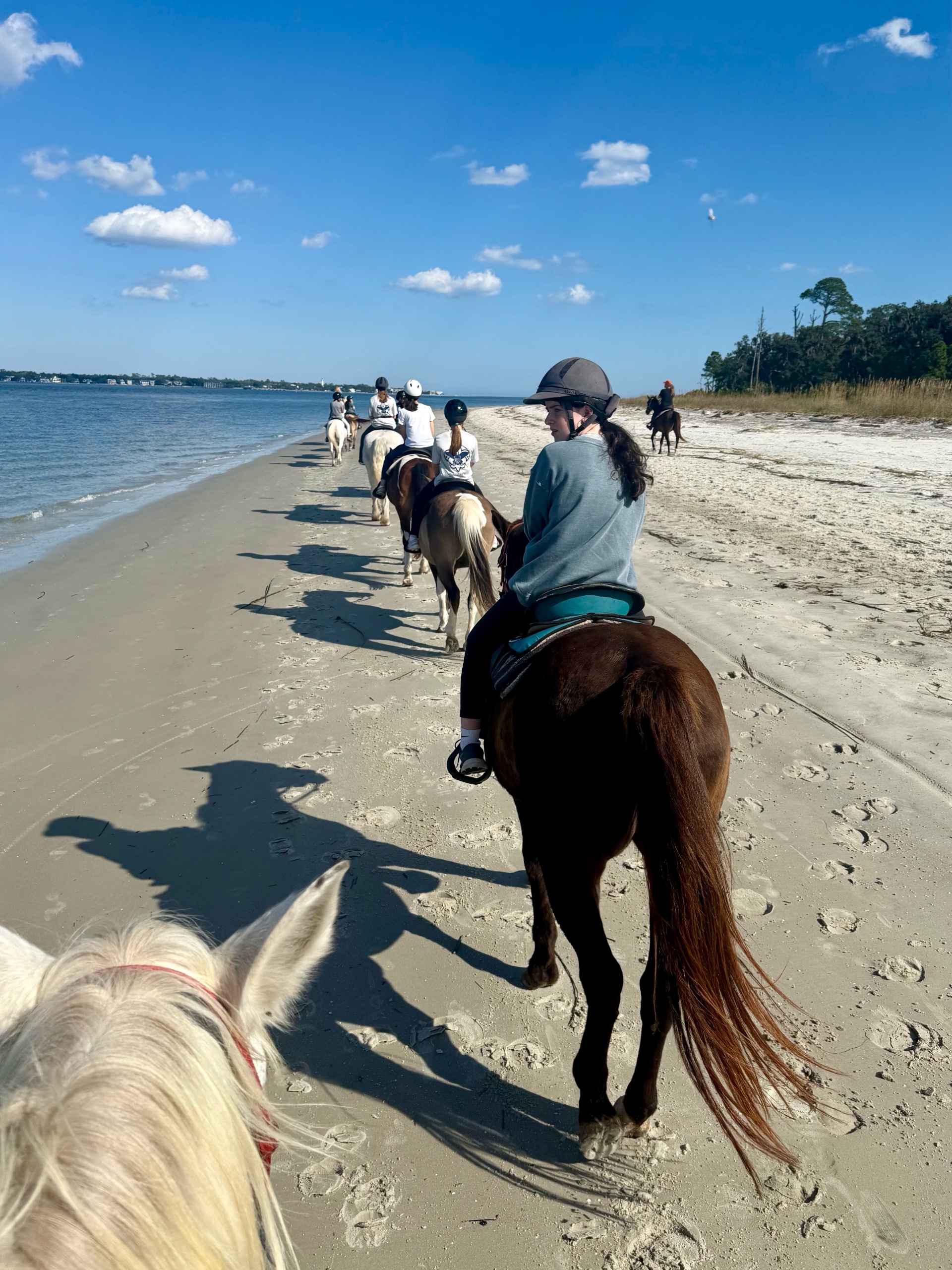 Jekyll Island/St. Simons Trip! photo