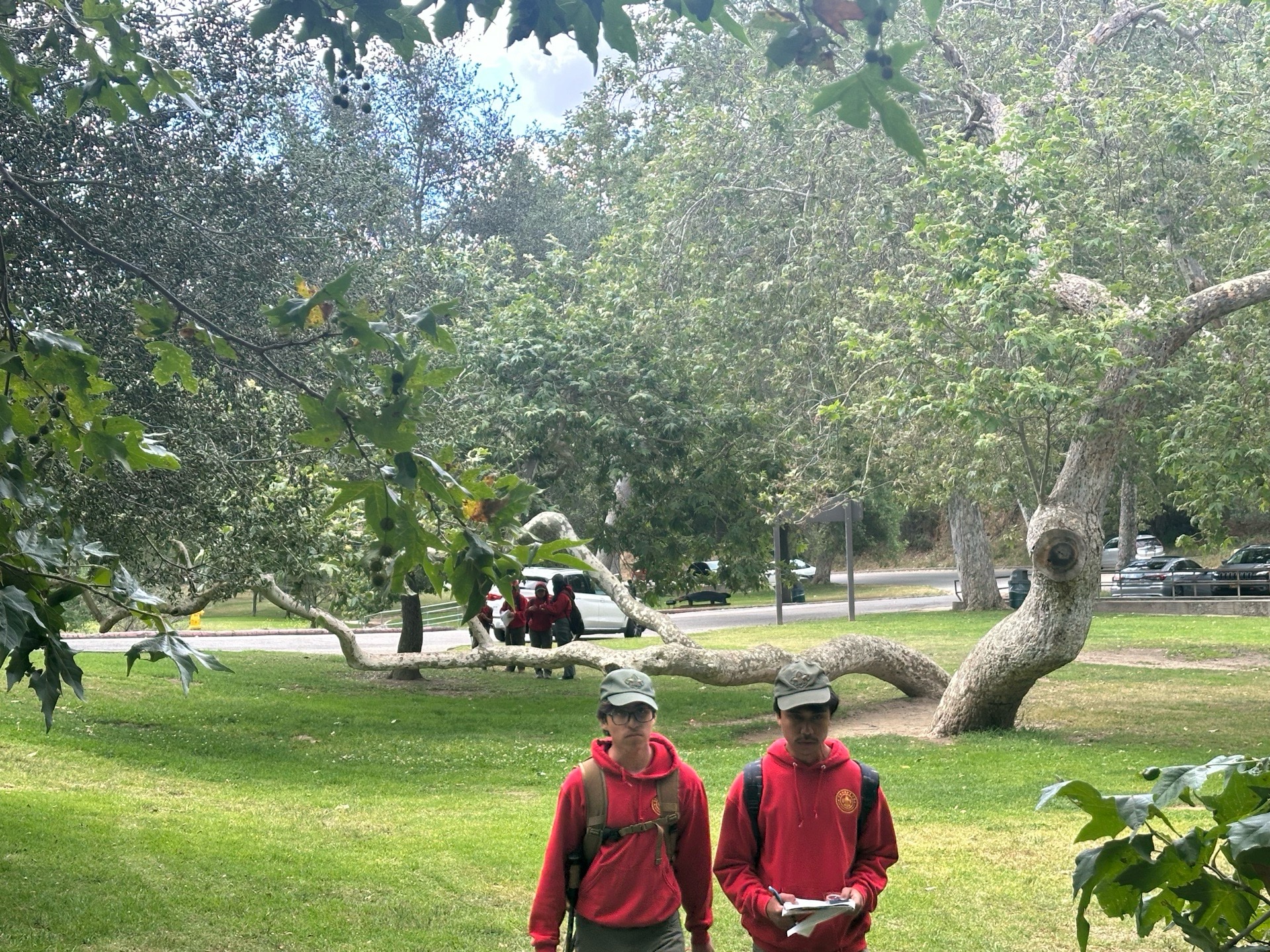 Griffith Park Activity photo