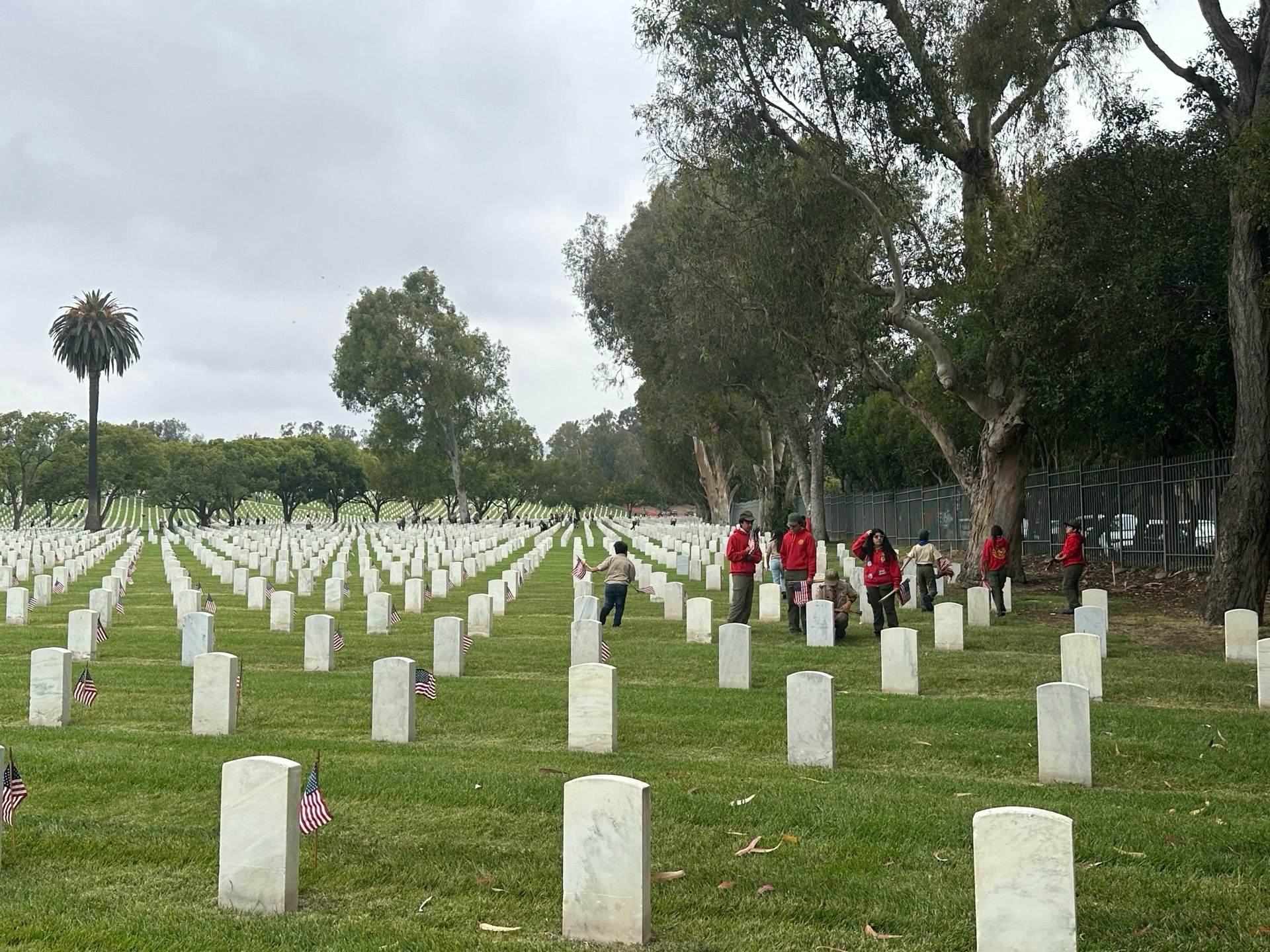Memorial Day Place the Flags photo