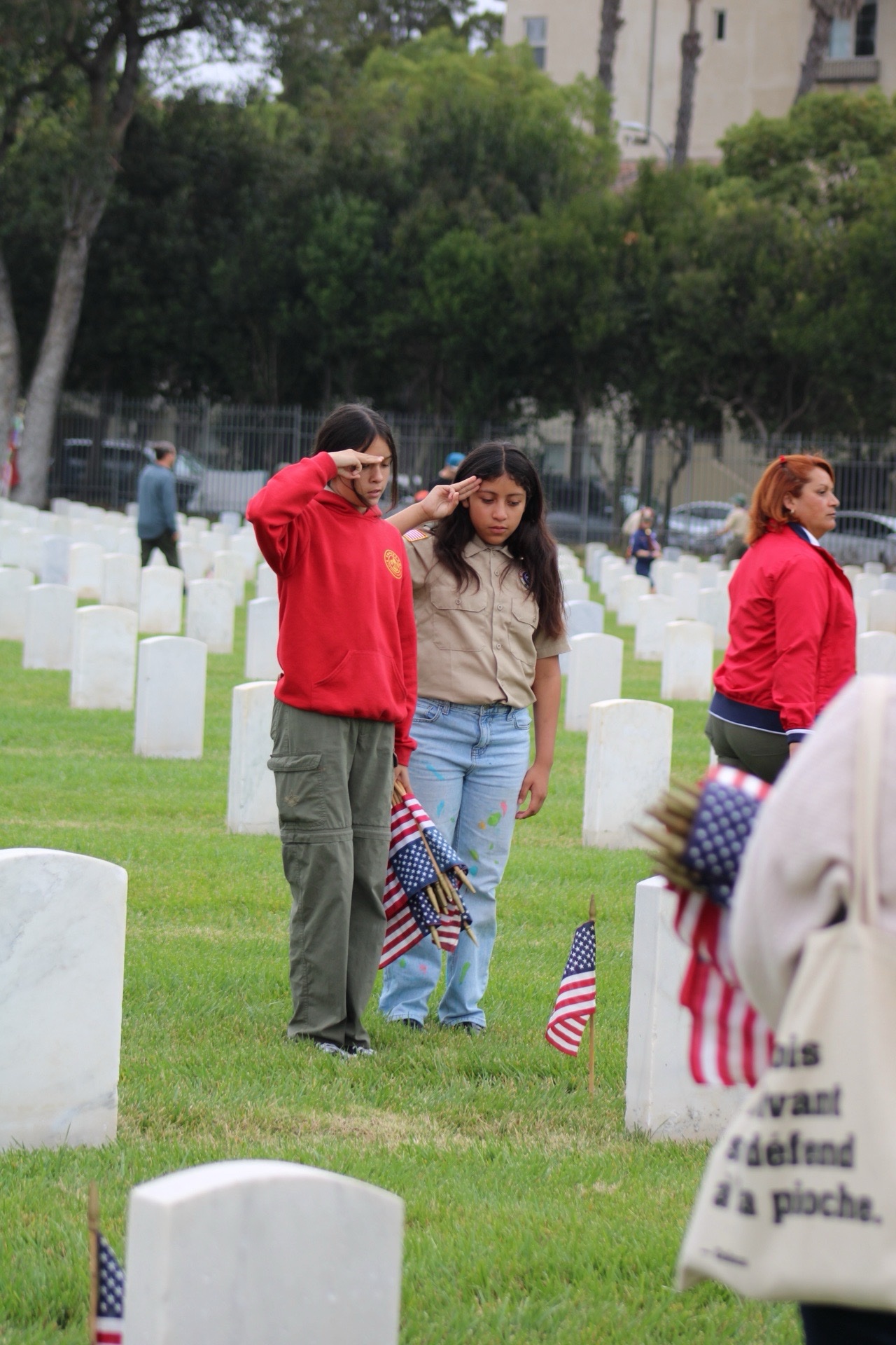 Memorial Day Place the Flags photo