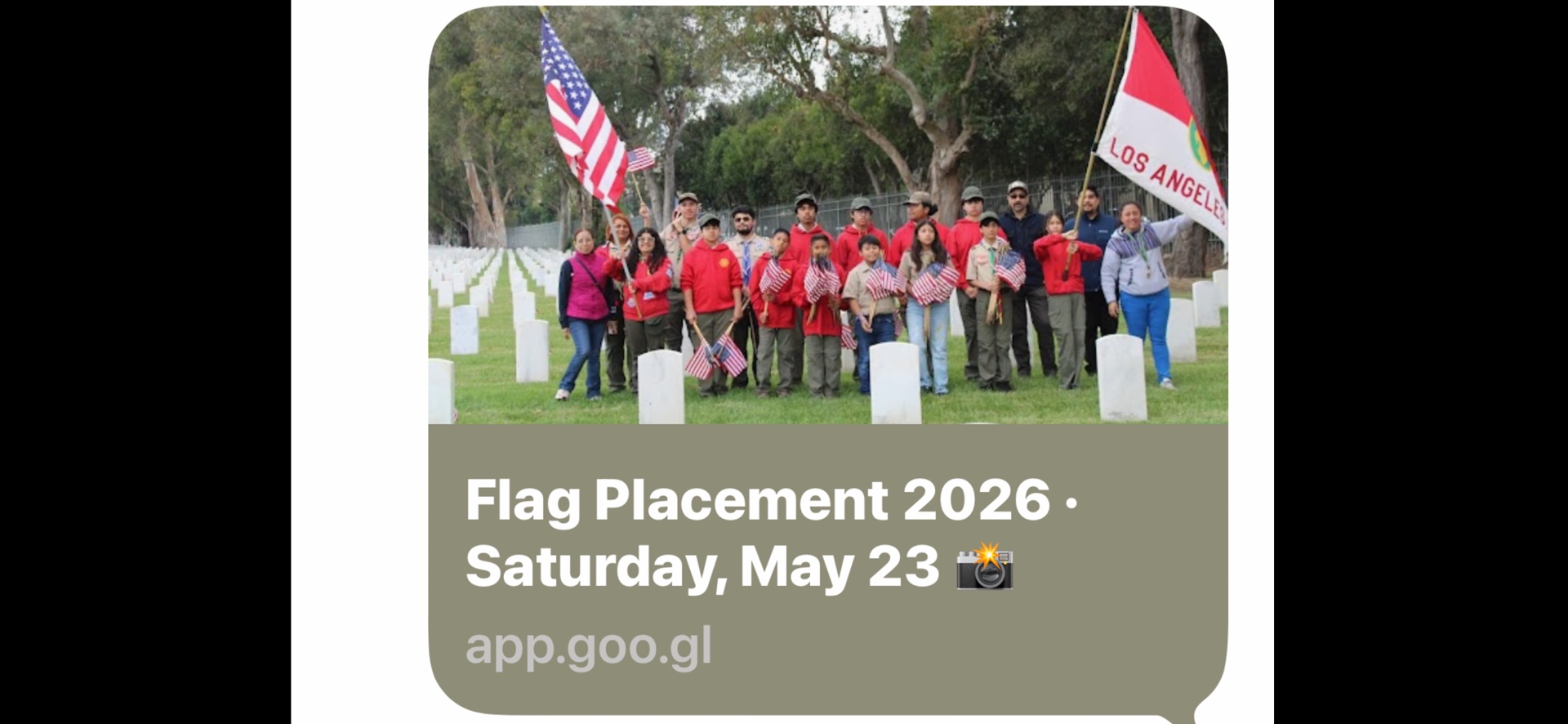 Memorial Day Place the Flags photo