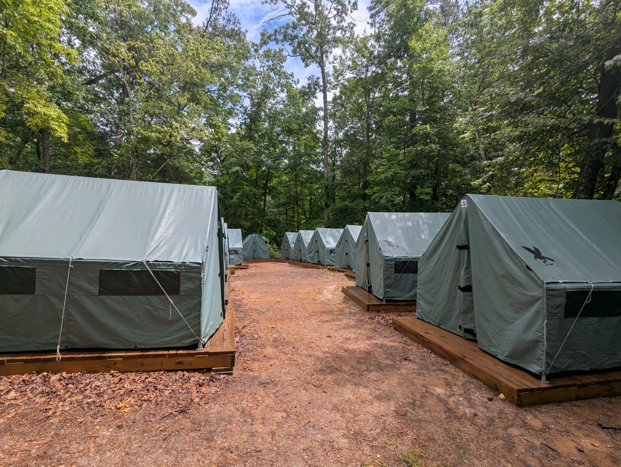 Camp Raven Knob 2025, NC photo