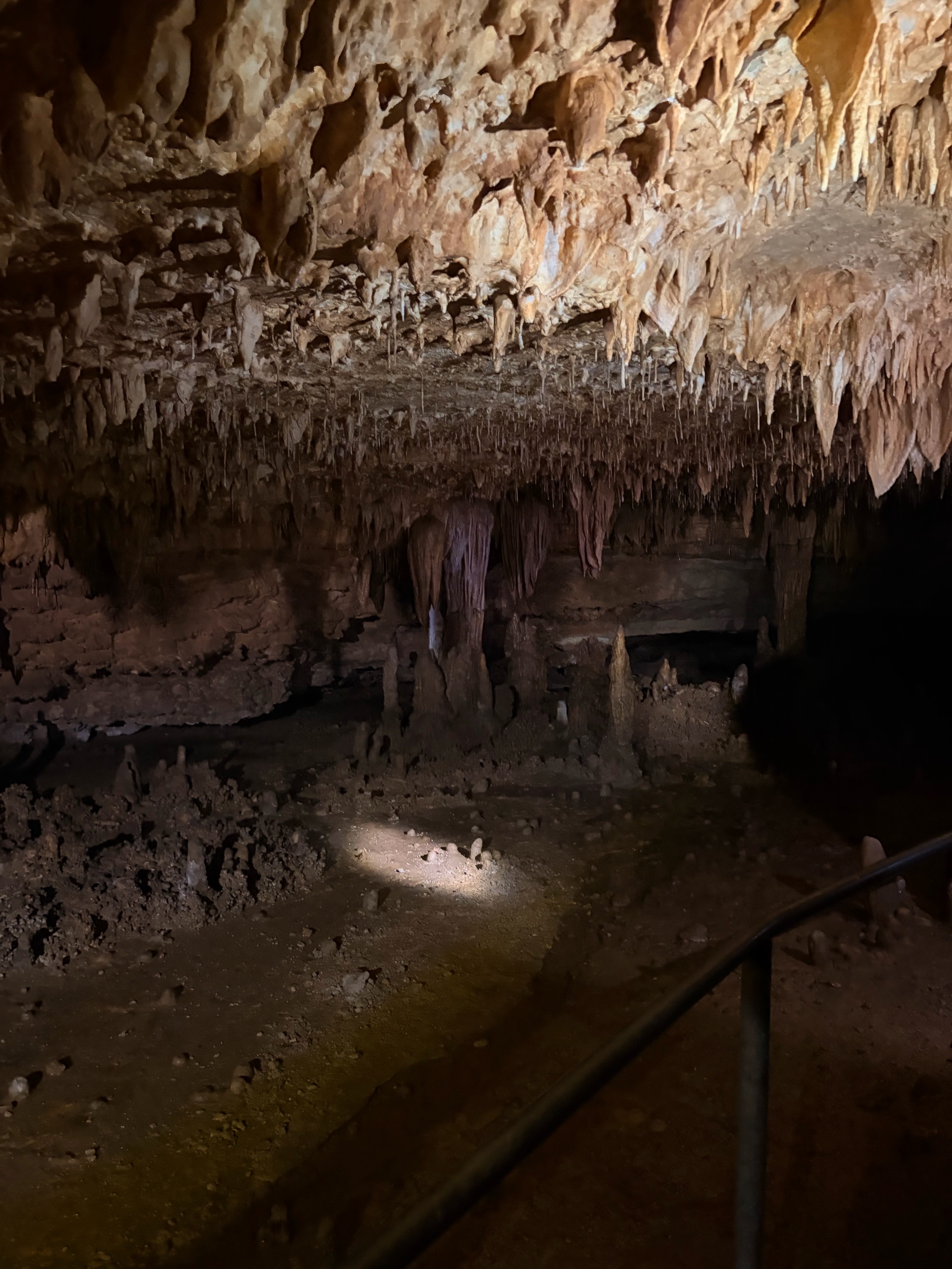 August Campout: Onondaga State Park- Hike/Cave Tour photo