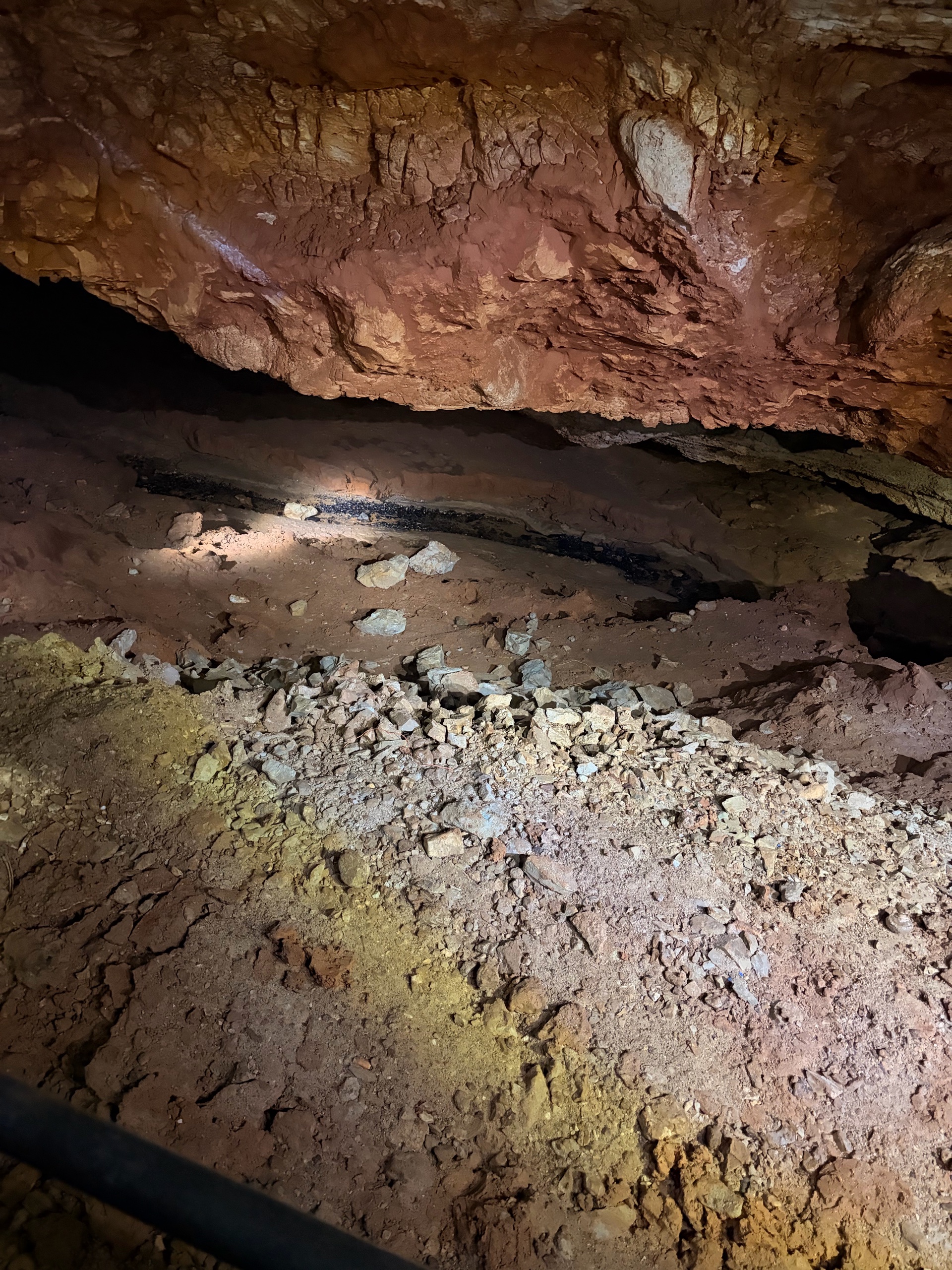 August Campout: Onondaga State Park- Hike/Cave Tour photo