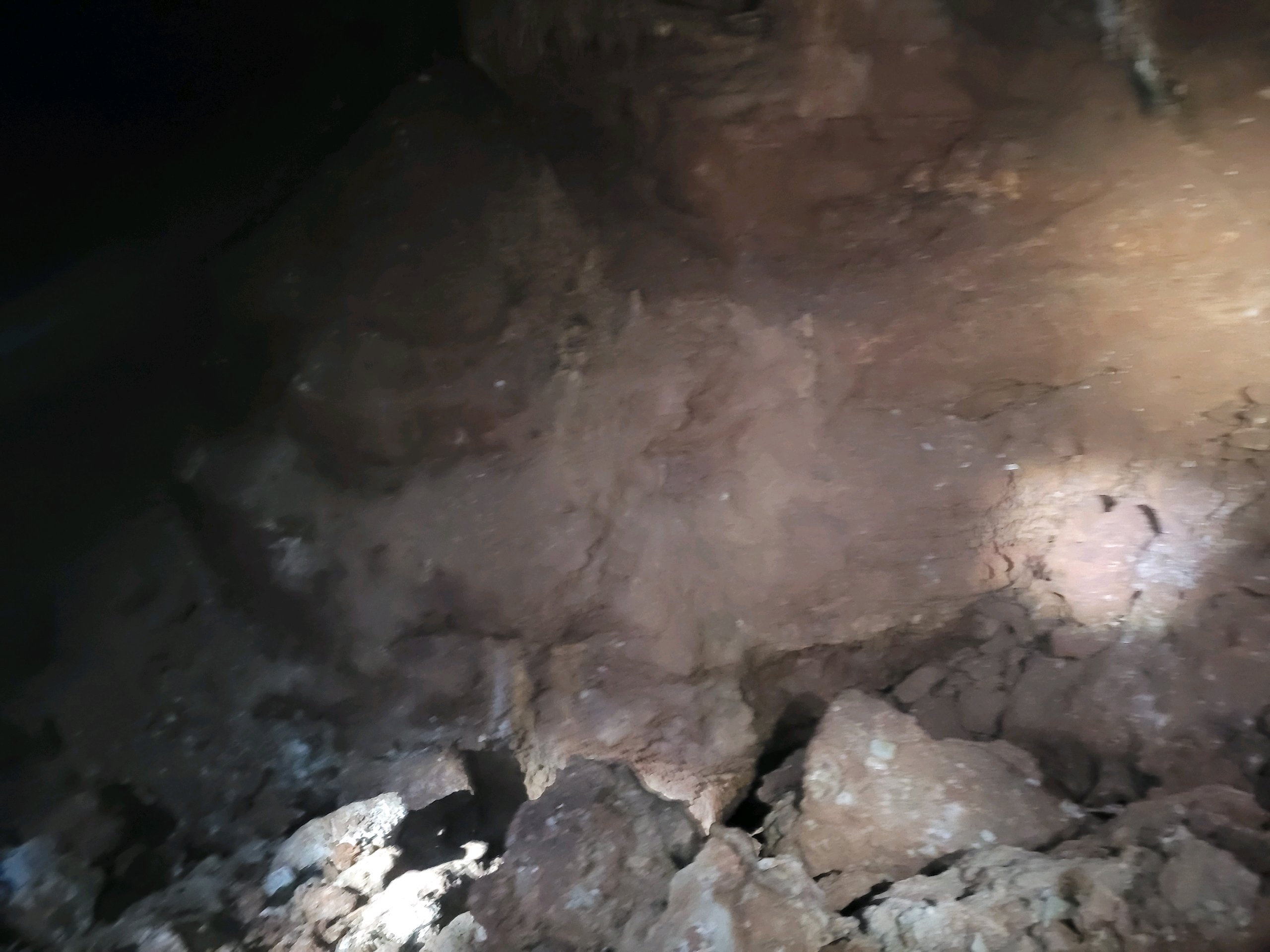 August Campout: Onondaga State Park- Hike/Cave Tour photo