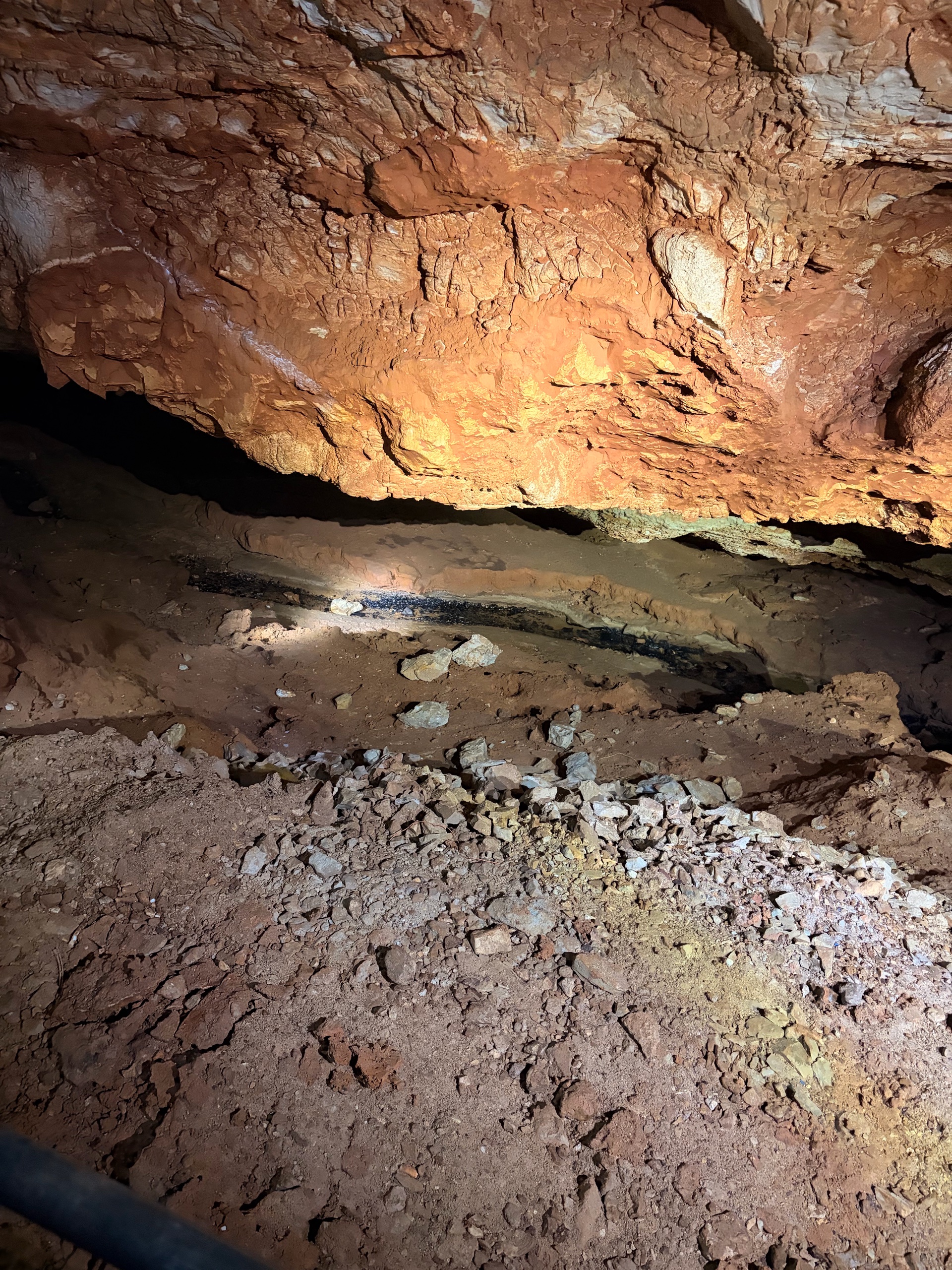 August Campout: Onondaga State Park- Hike/Cave Tour photo