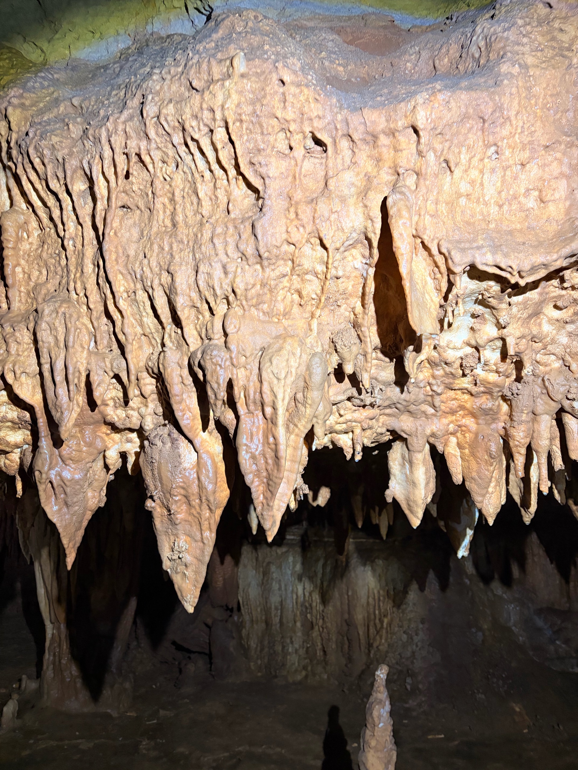 August Campout: Onondaga State Park- Hike/Cave Tour photo