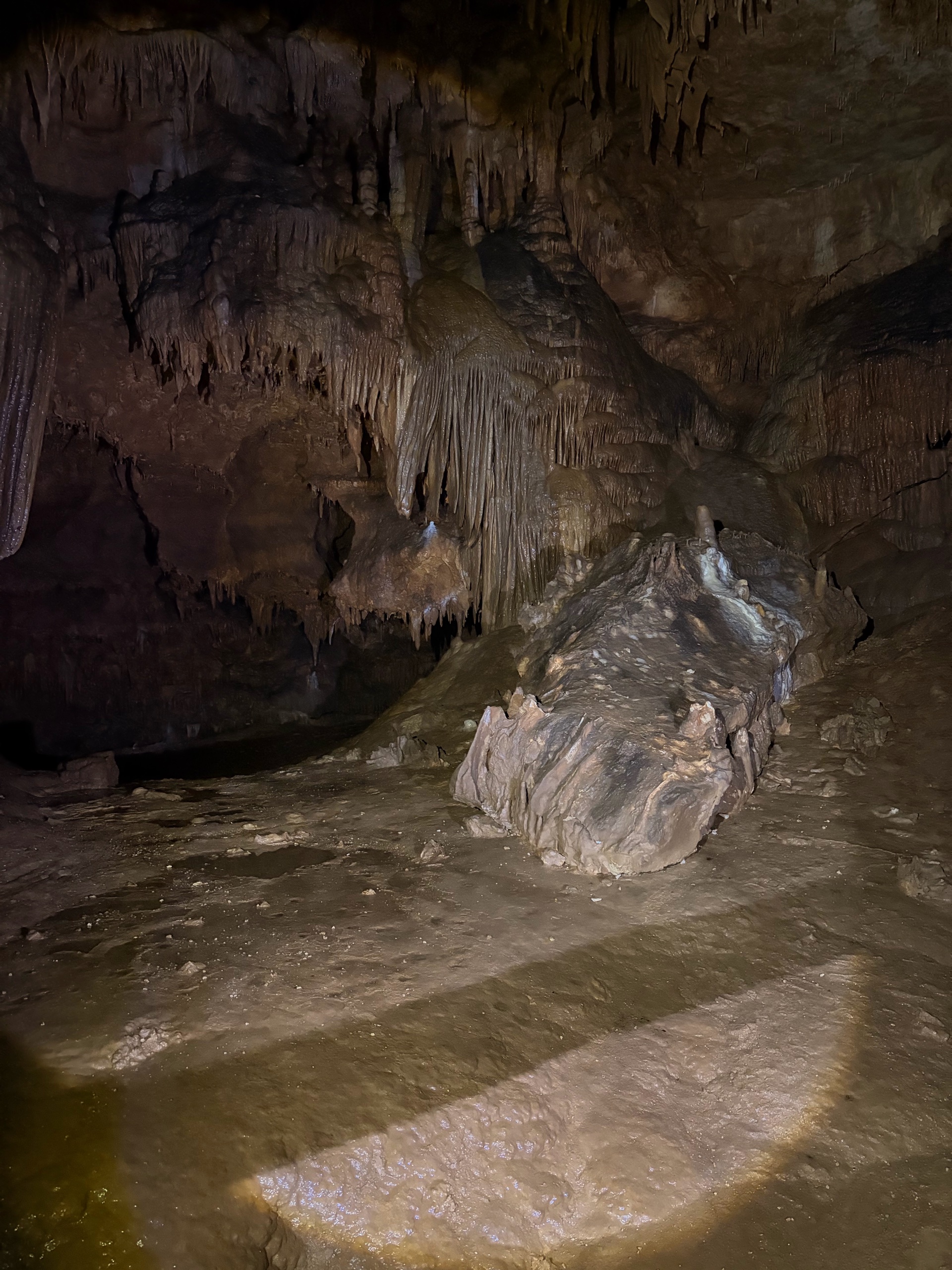 August Campout: Onondaga State Park- Hike/Cave Tour photo