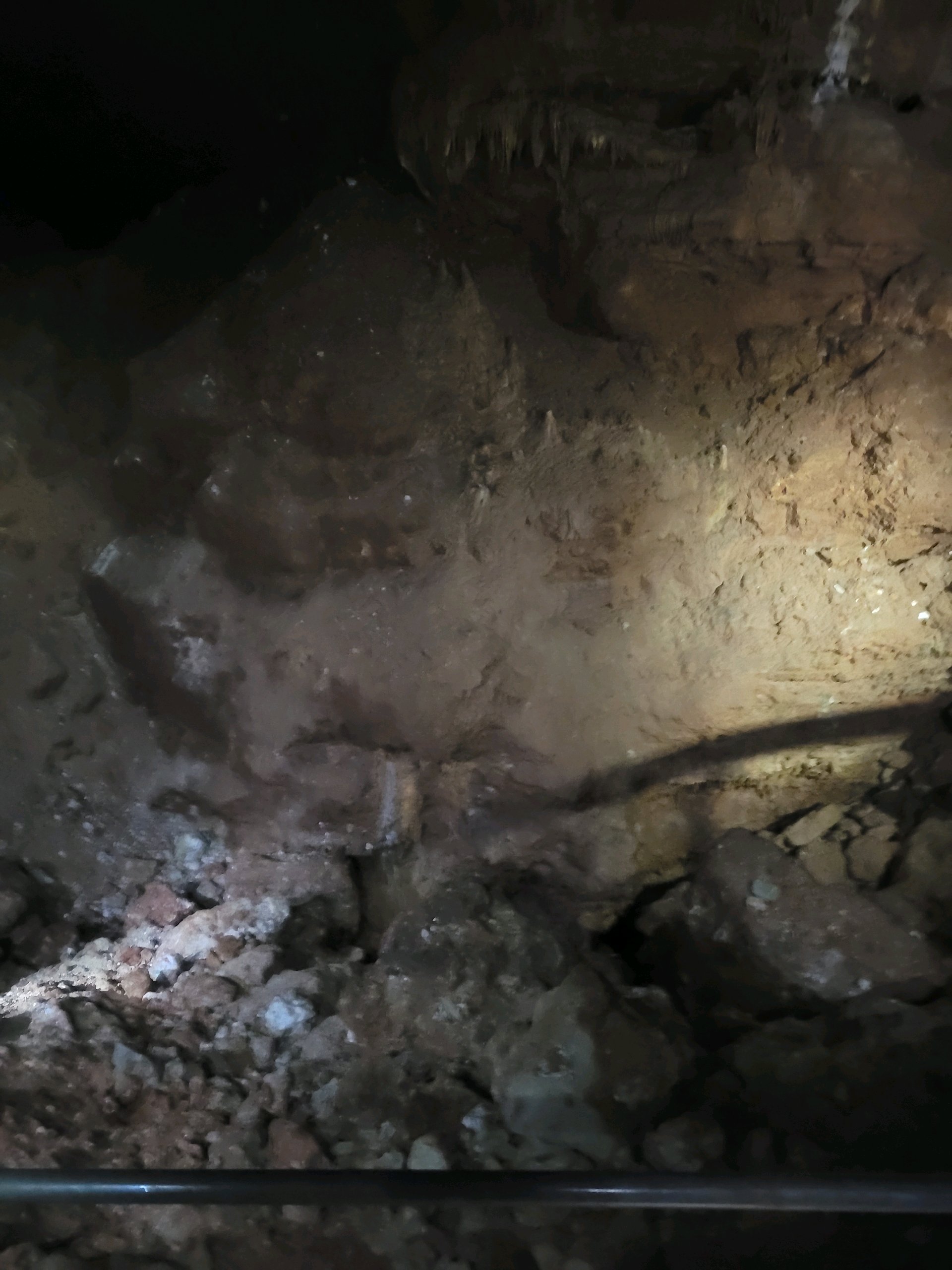 August Campout: Onondaga State Park- Hike/Cave Tour photo
