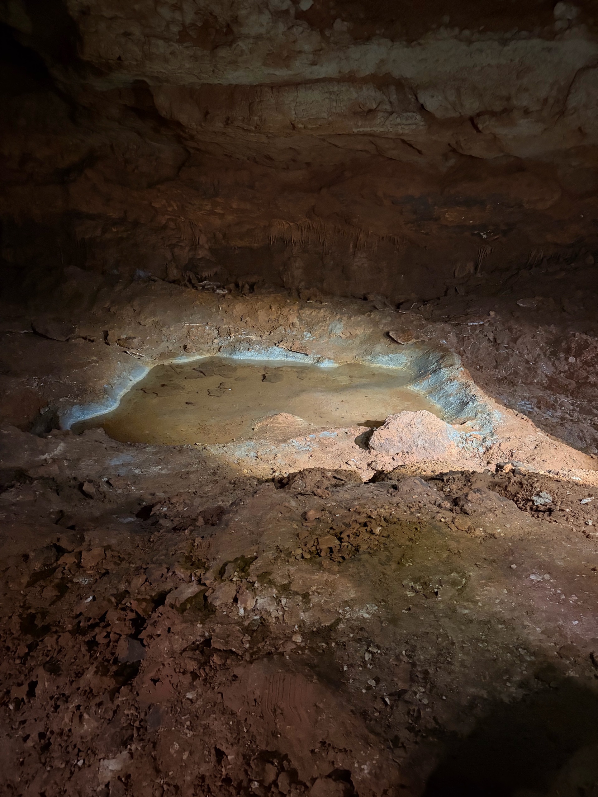 August Campout: Onondaga State Park- Hike/Cave Tour photo