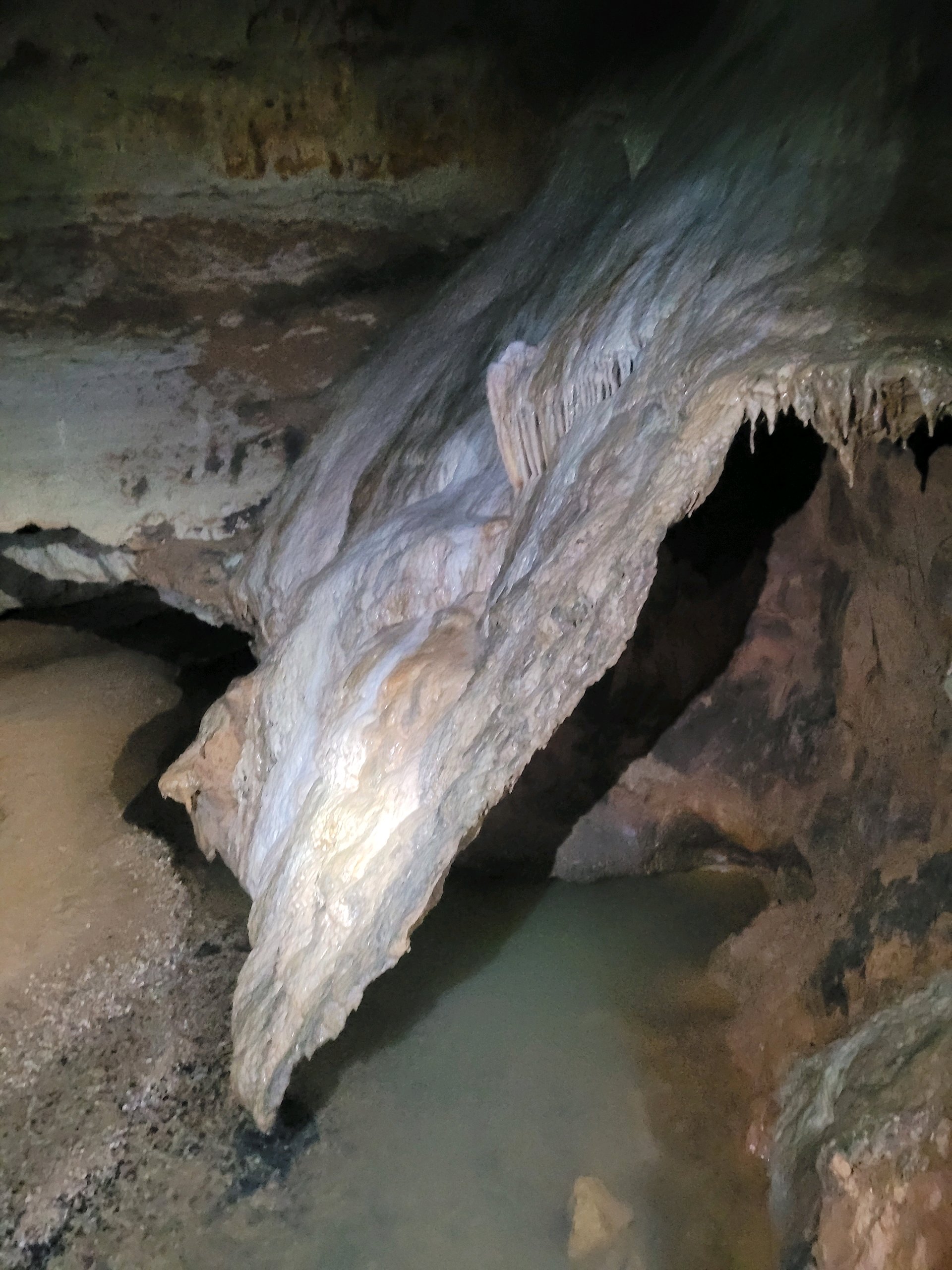 August Campout: Onondaga State Park- Hike/Cave Tour photo